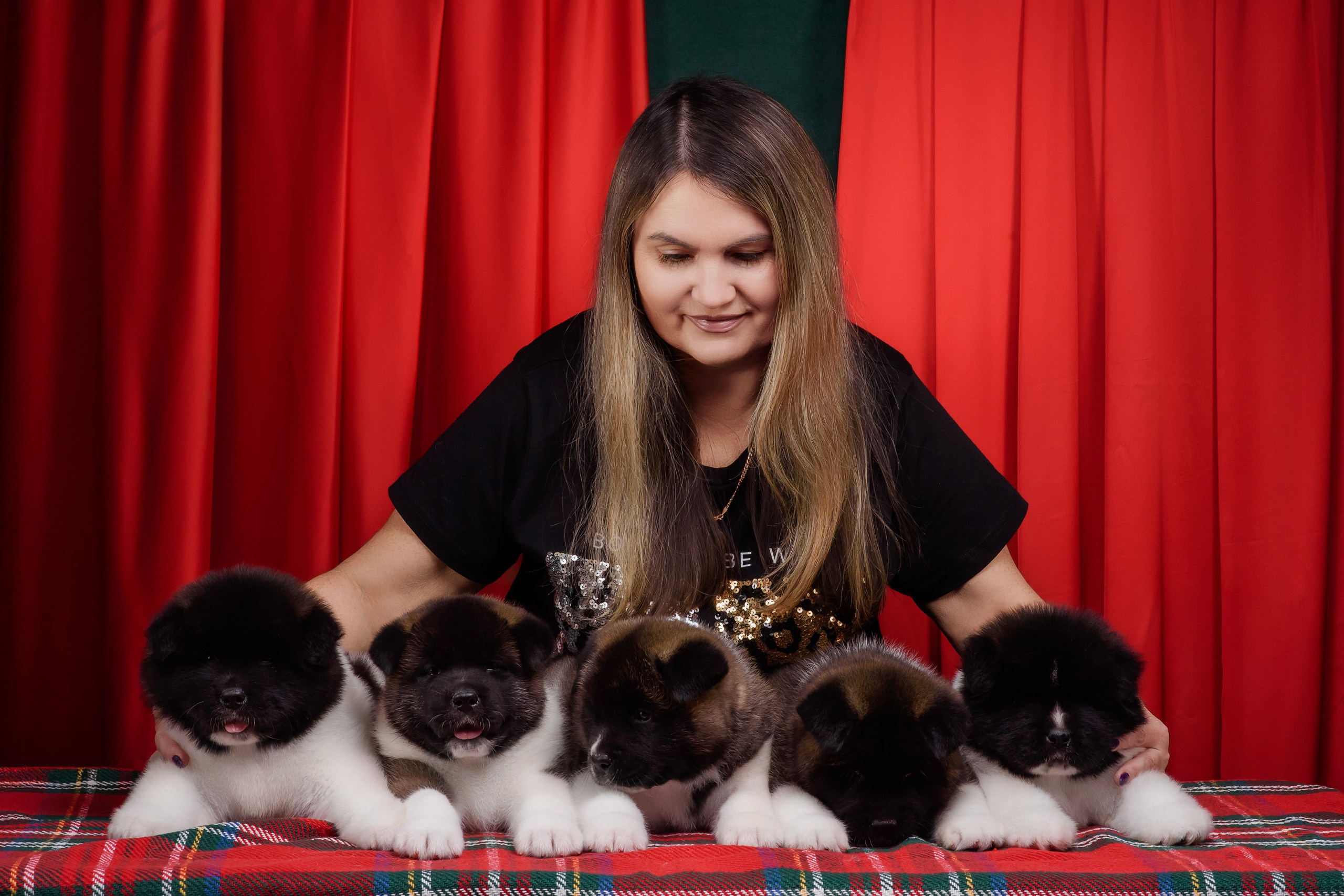 Щенки Американской Акиты. Фотограф — Анималист | Анна Абрамова