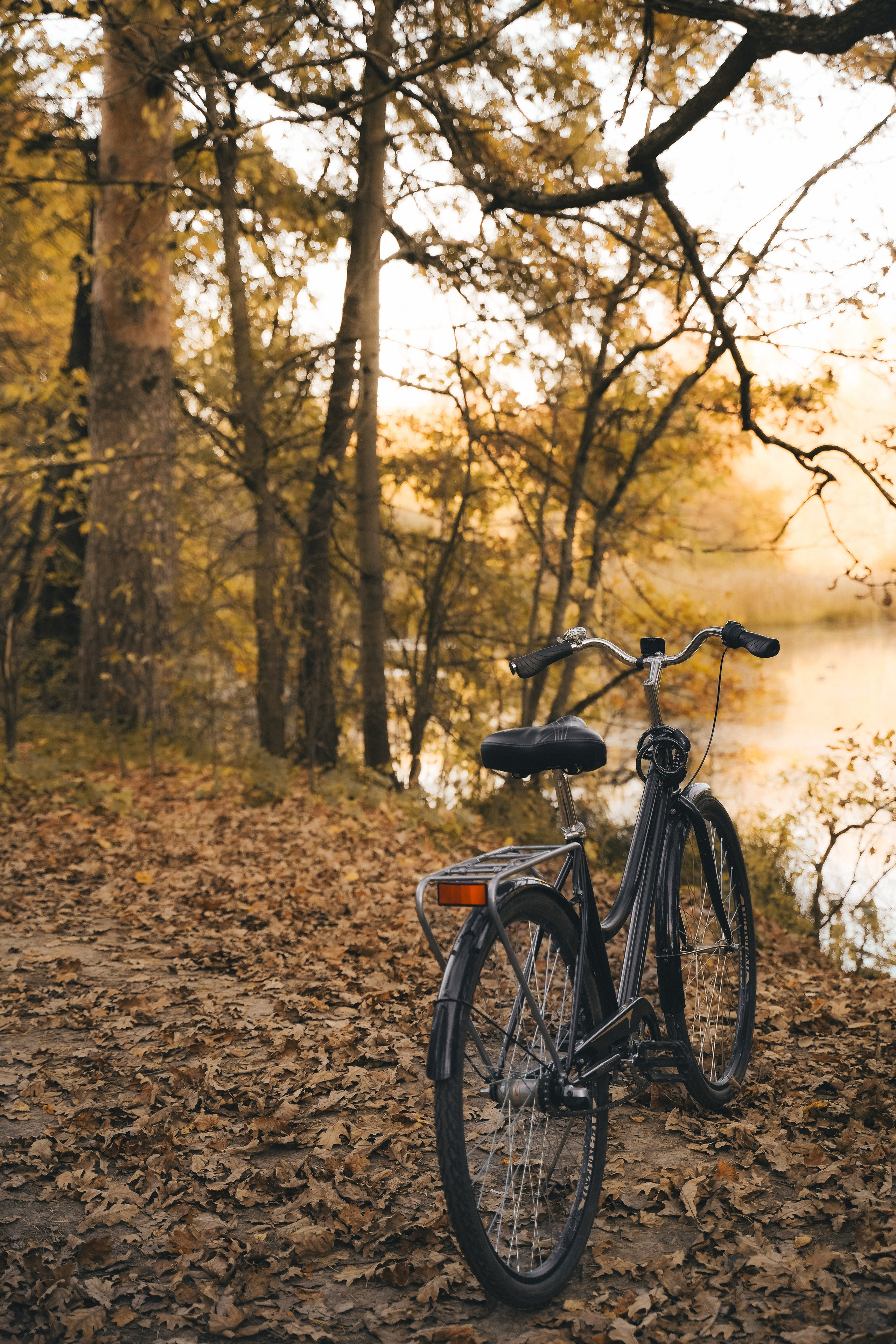 Фото истории. Коновалова Юлия