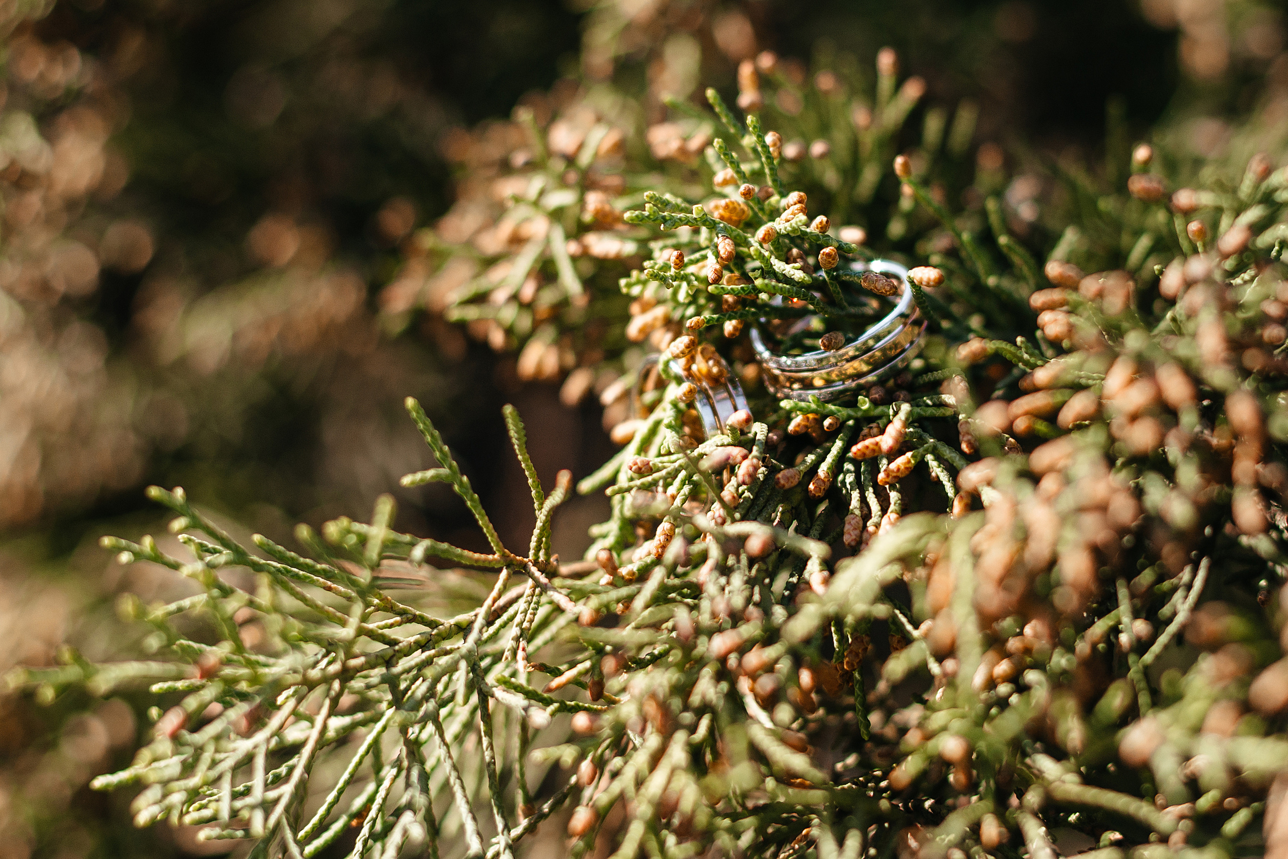 Лучший свадебный день. Свадебный фотограф в Иваново Гитарина Черняева
