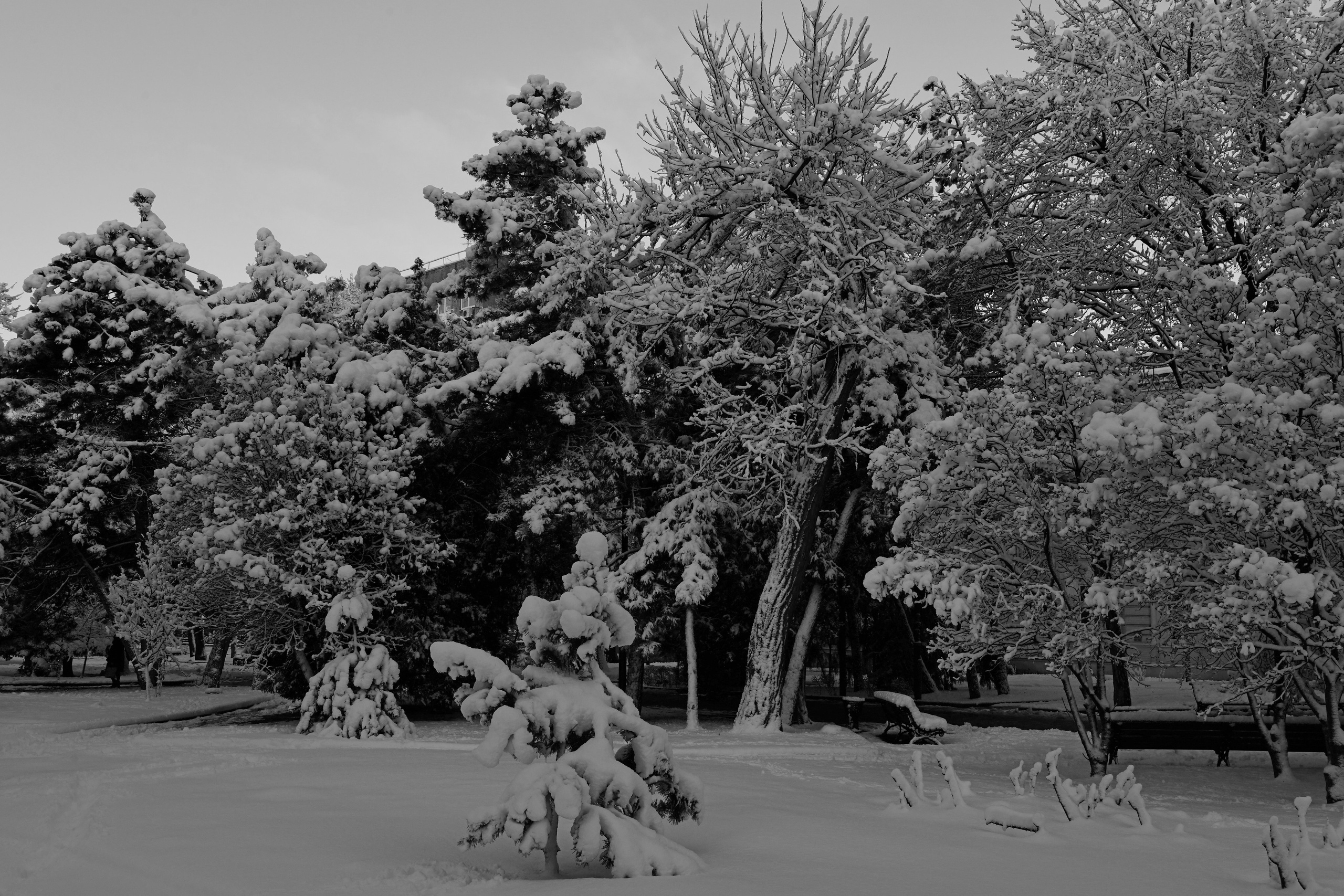 РОСТОВ. Фотограф Глеб Садов