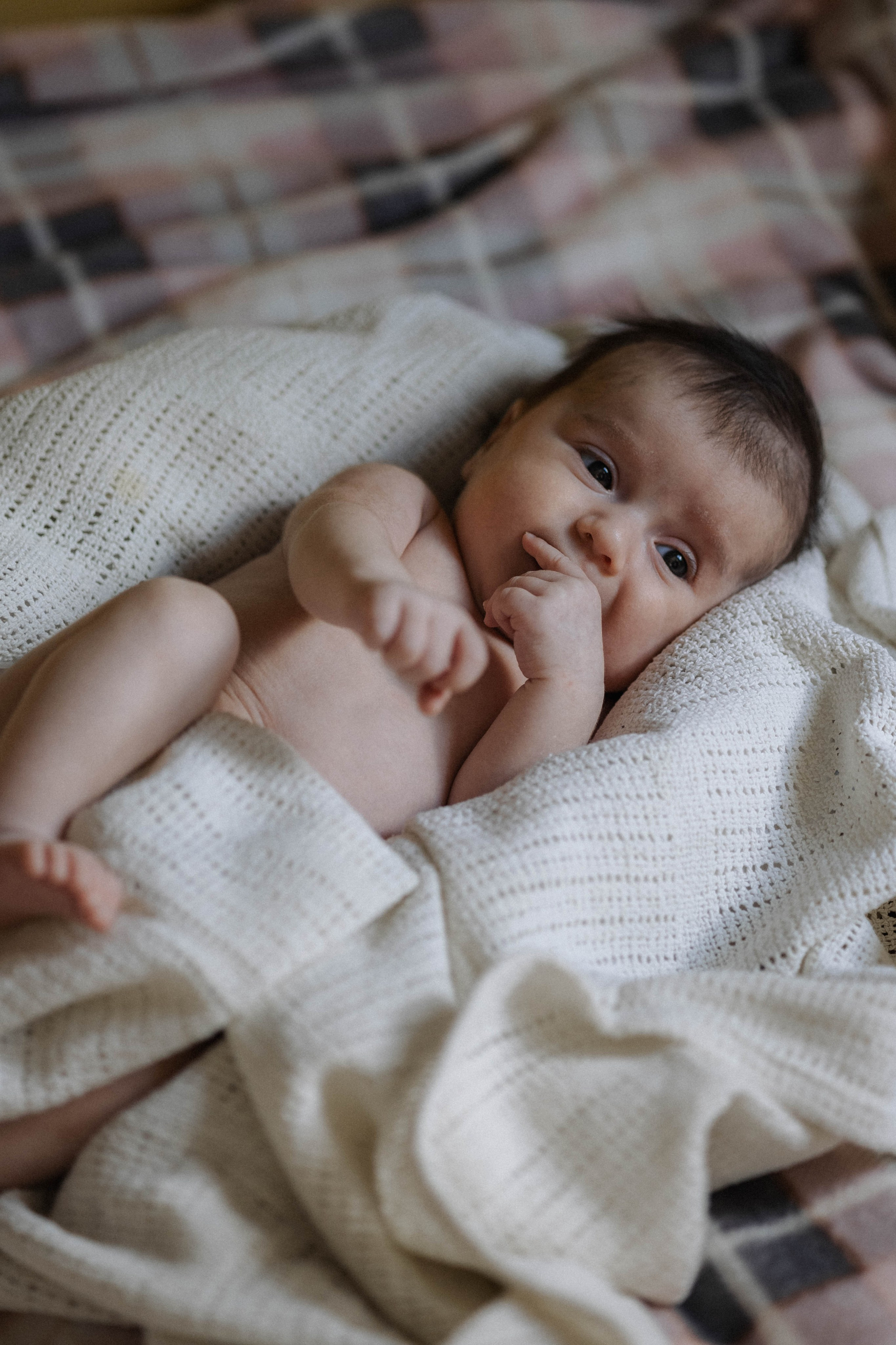 Новорожденные. Семейный, детский и женский фотограф Дарина Старшинова в Твери