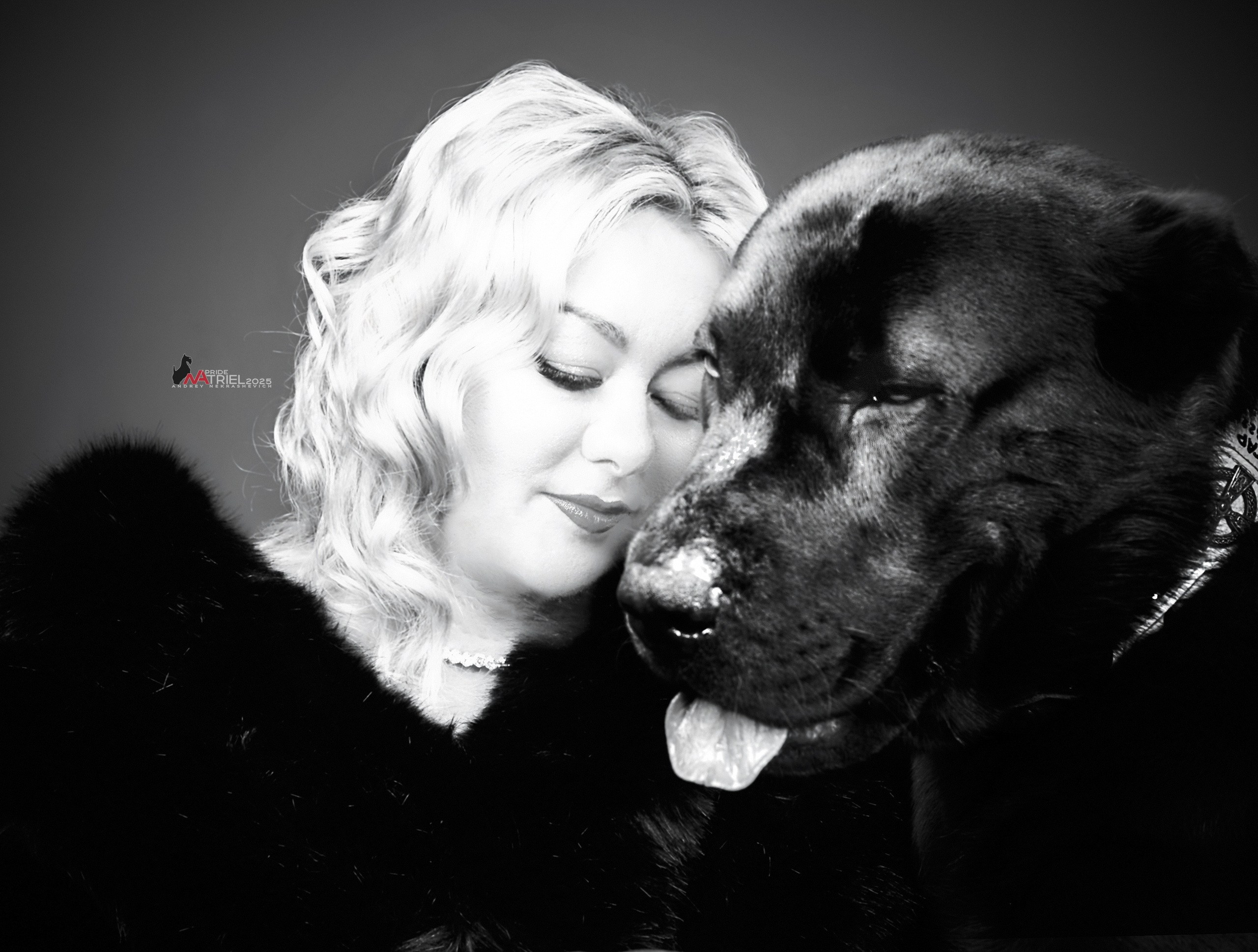 Съемка алабая в студии