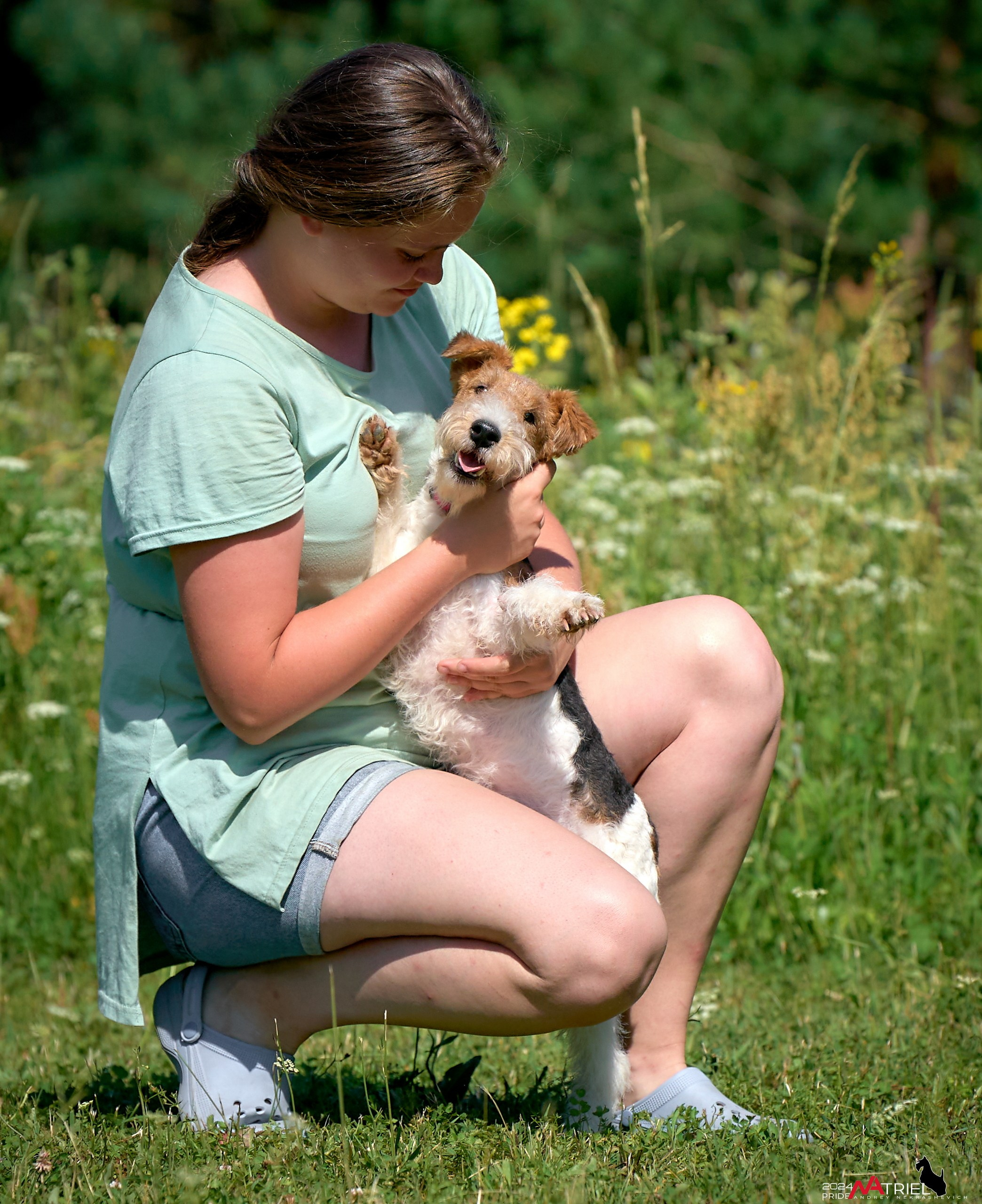 Репортаж из кинологического лагеря