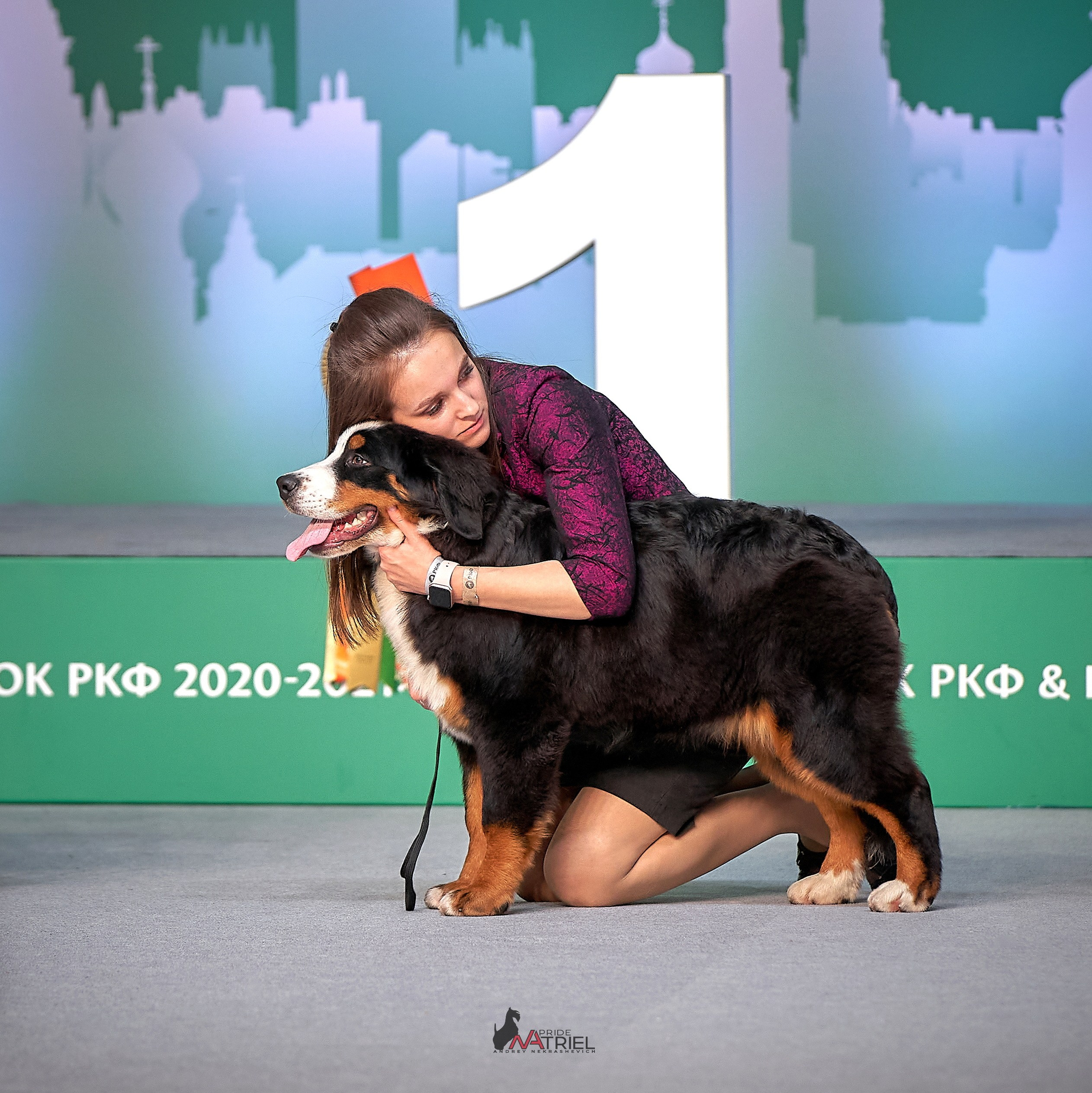 Работа в рингах — галерея NATRIEL