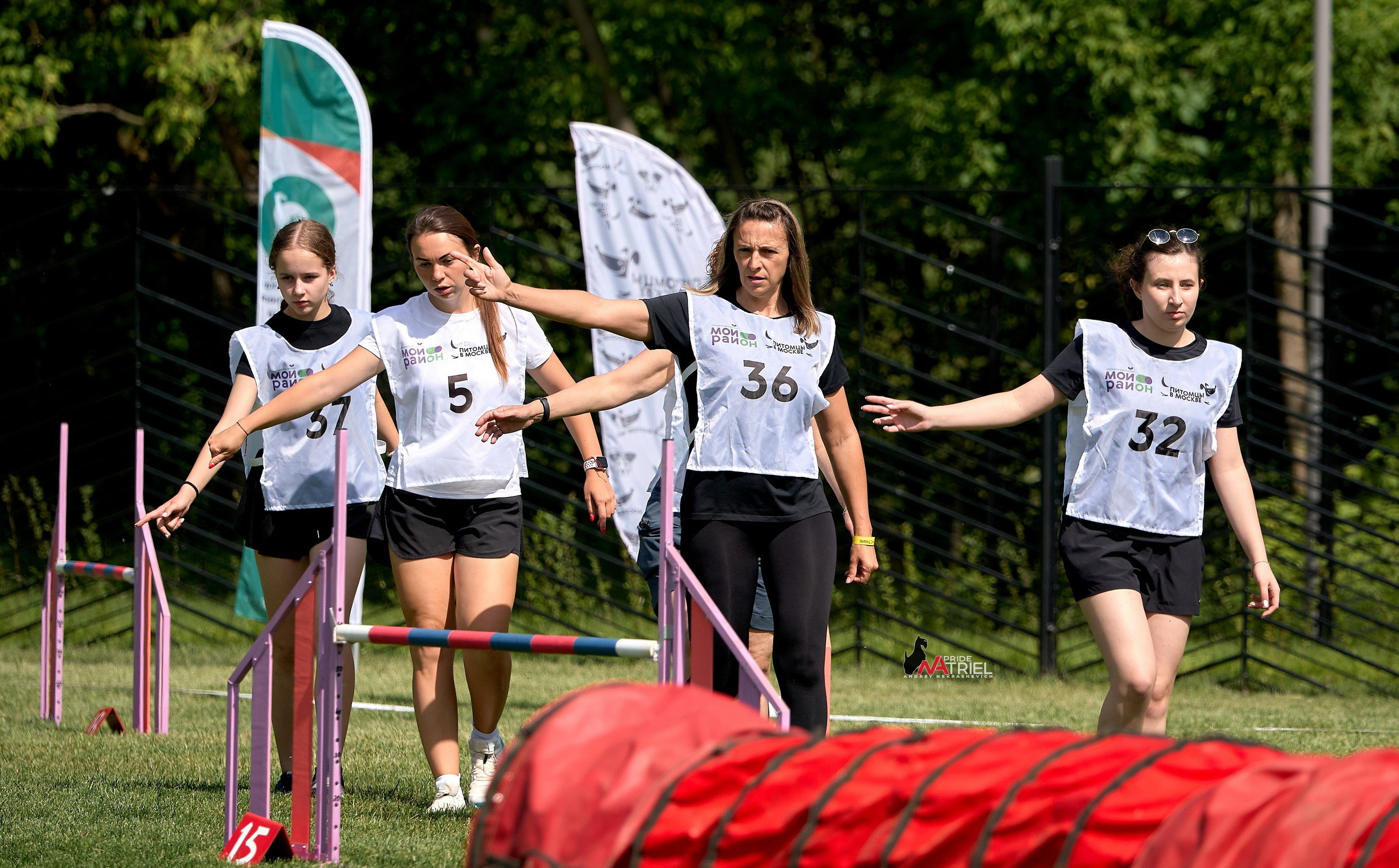 Аджилити — галерея NATRIEL