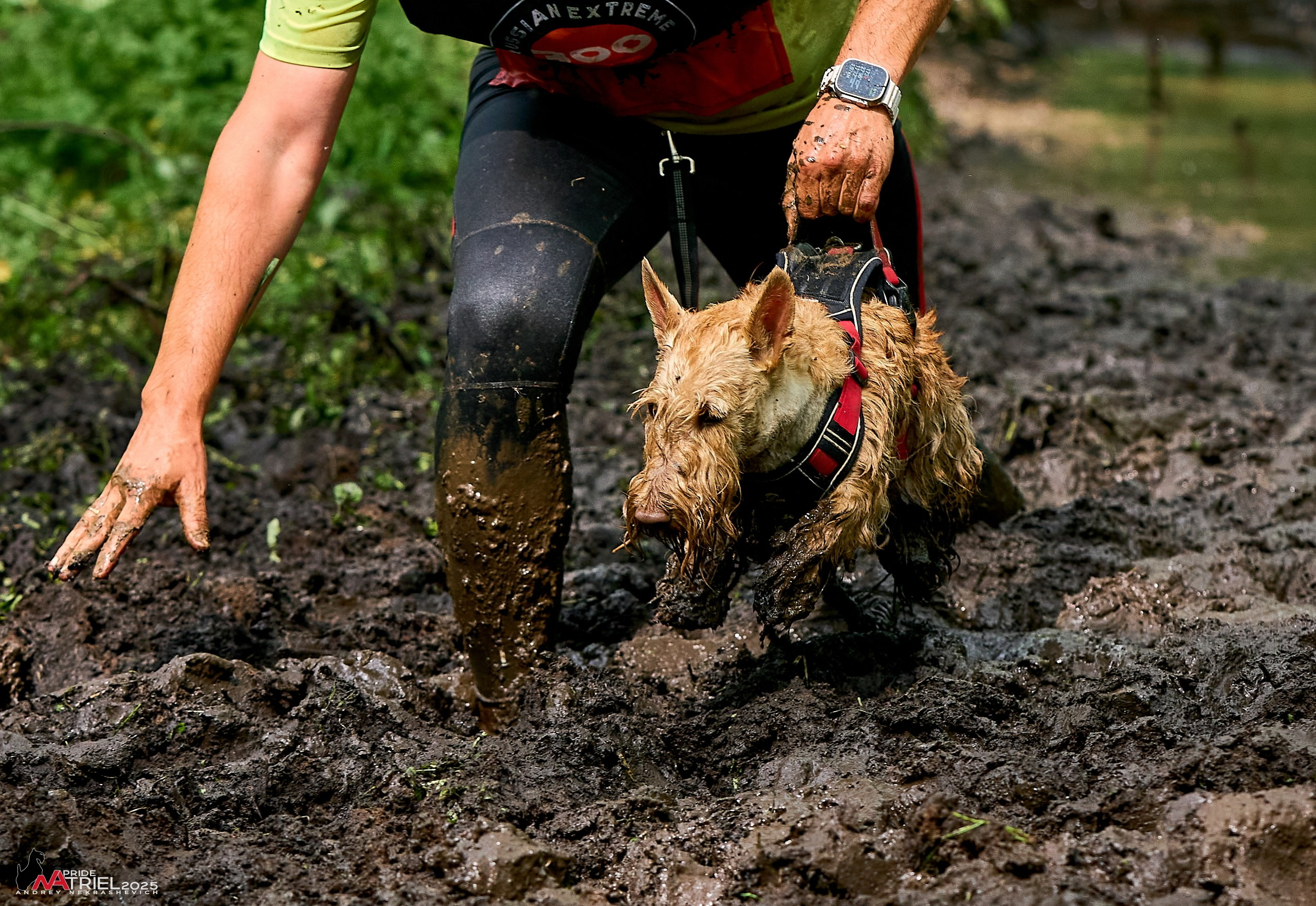 Russian Extreme Dog Trail — 2025
