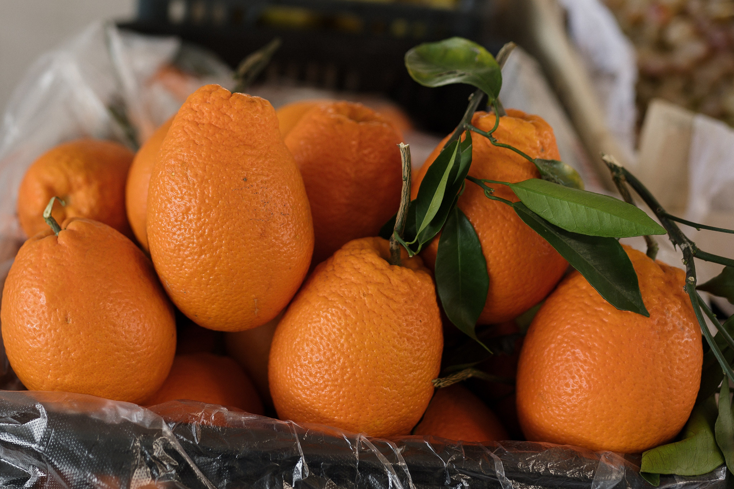Узбекистан в марте. Люди. Юлия Розанова, коммерческий фоторепортаж в Москве