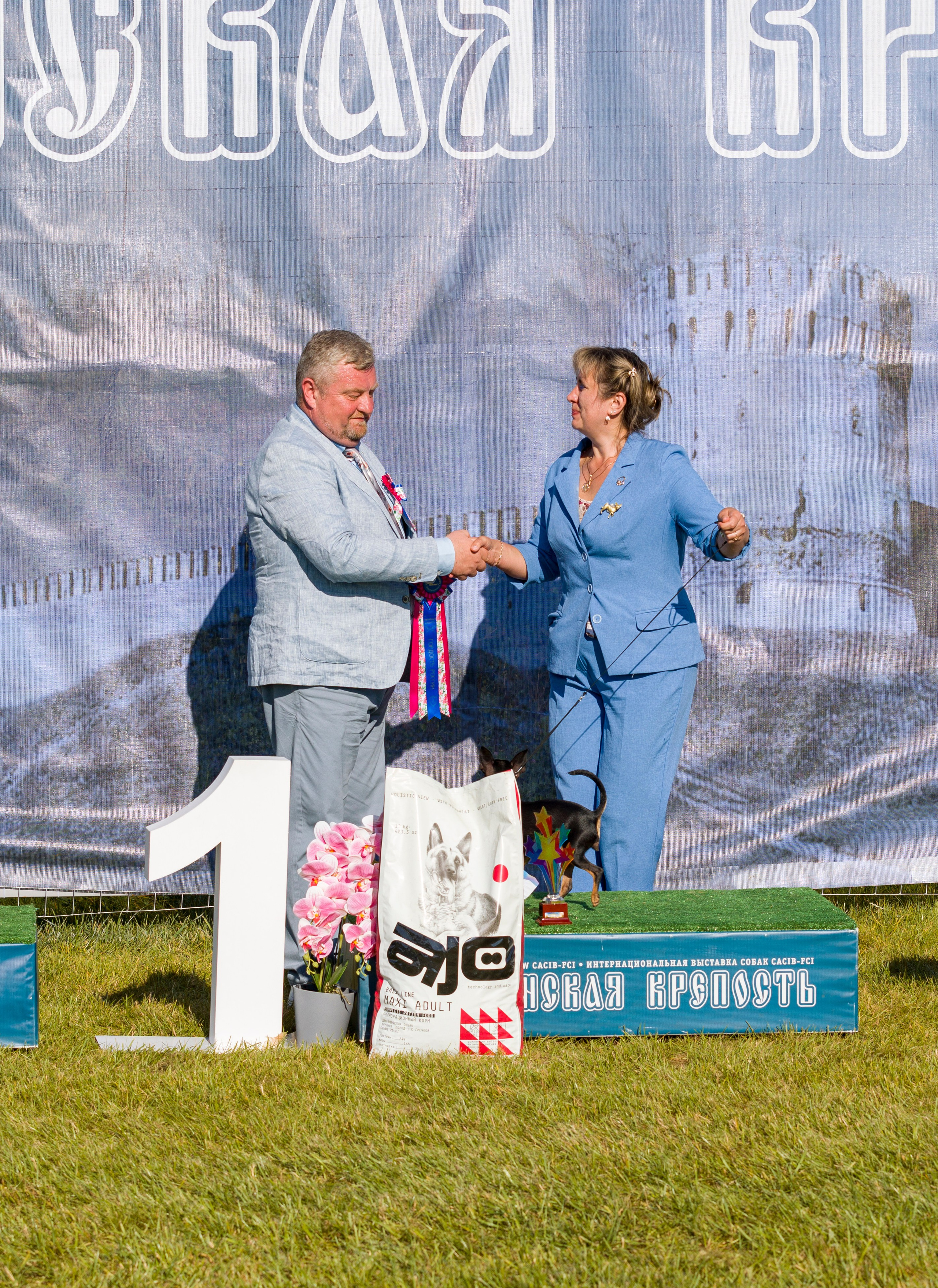 Выставки. Фотограф — анималист Татьяна Ли