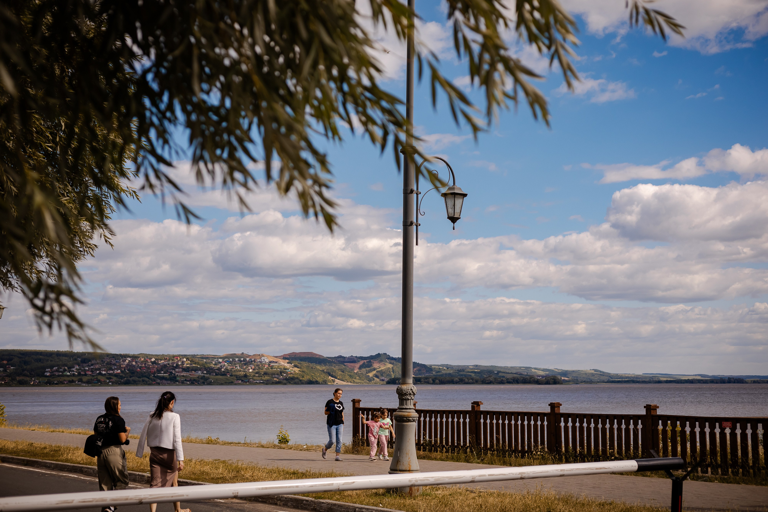 Фотосъемка собак, щенков, на выставках, фотограф анималист Россия воронеж. Питомник собак Акита, Хаски, Корги