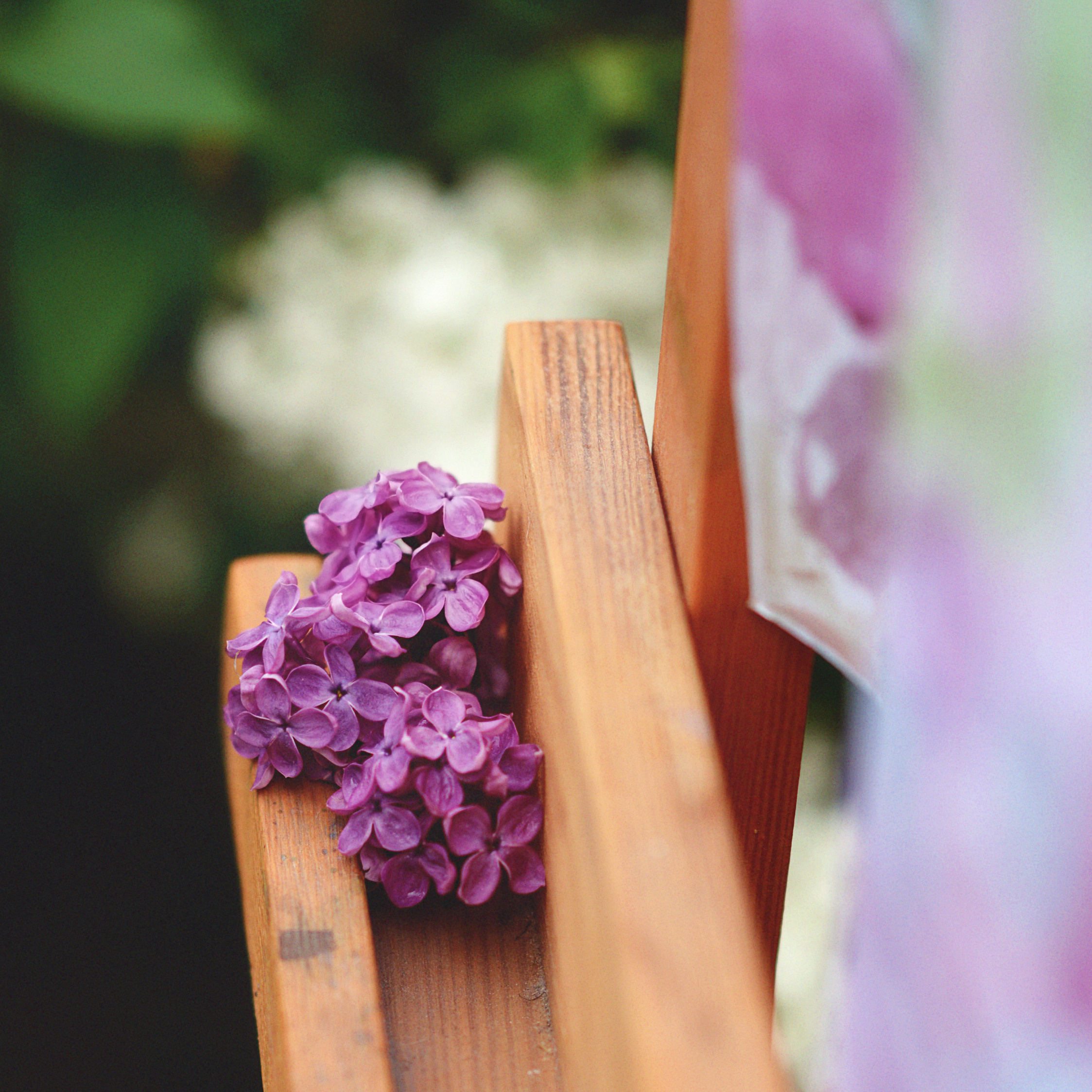 Художница. Фотограф Альбина Вакунова