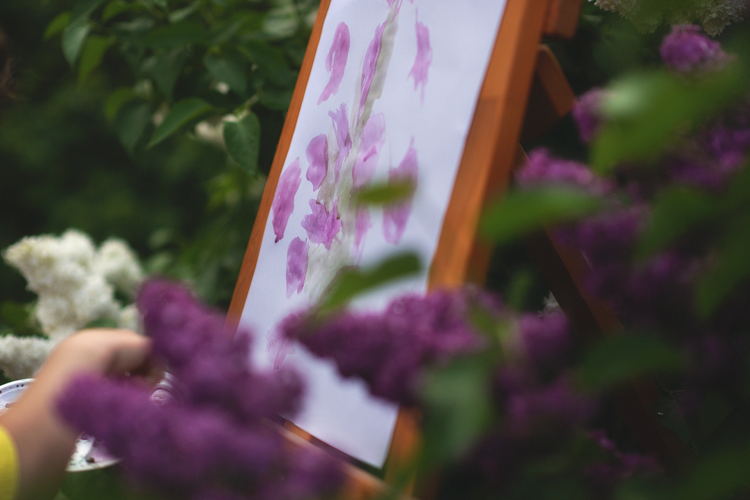 Художница. Фотограф Альбина Вакунова