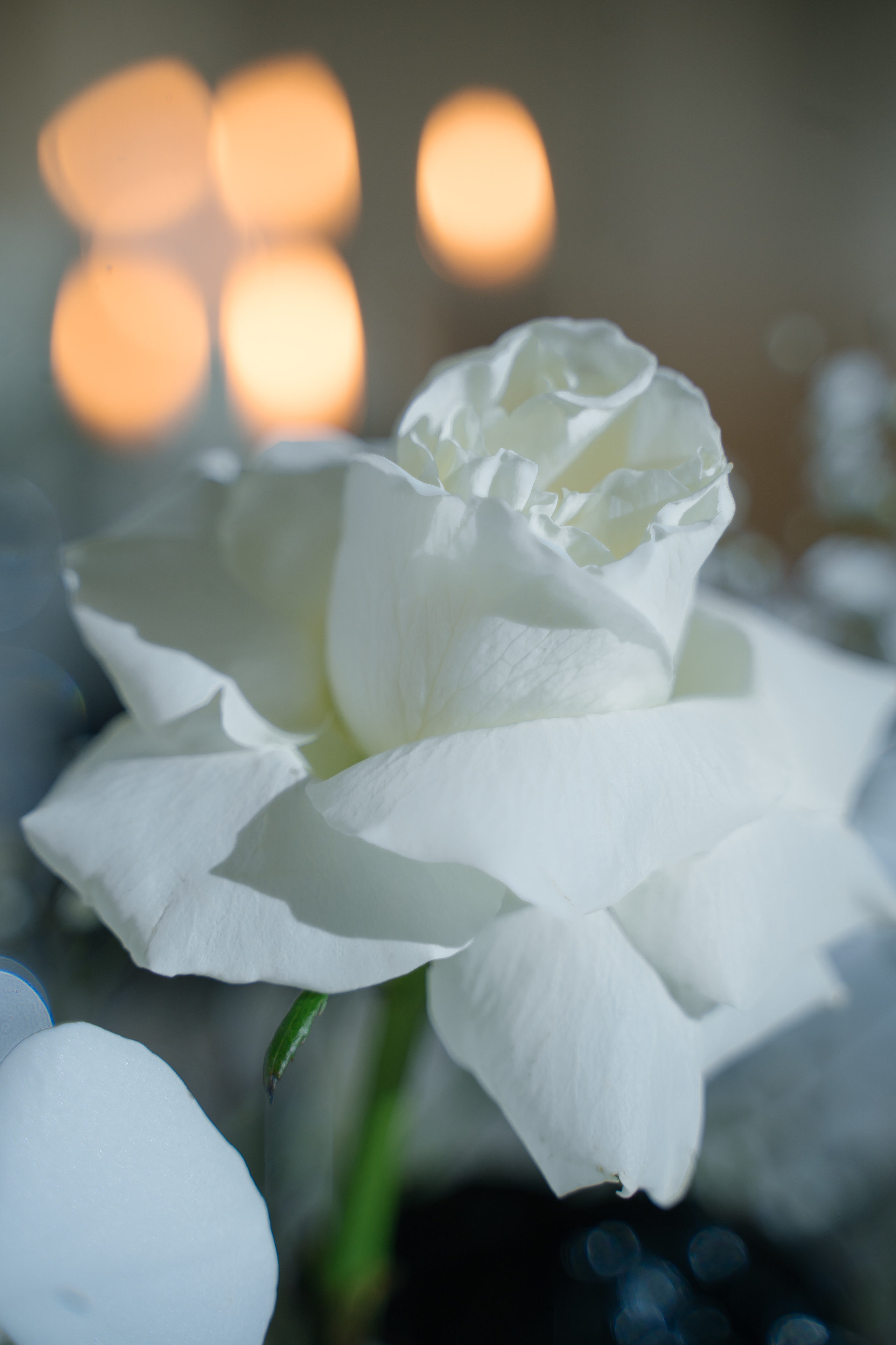 A&A. Свадебный фотограф — Наталья Фед СПб/Москва