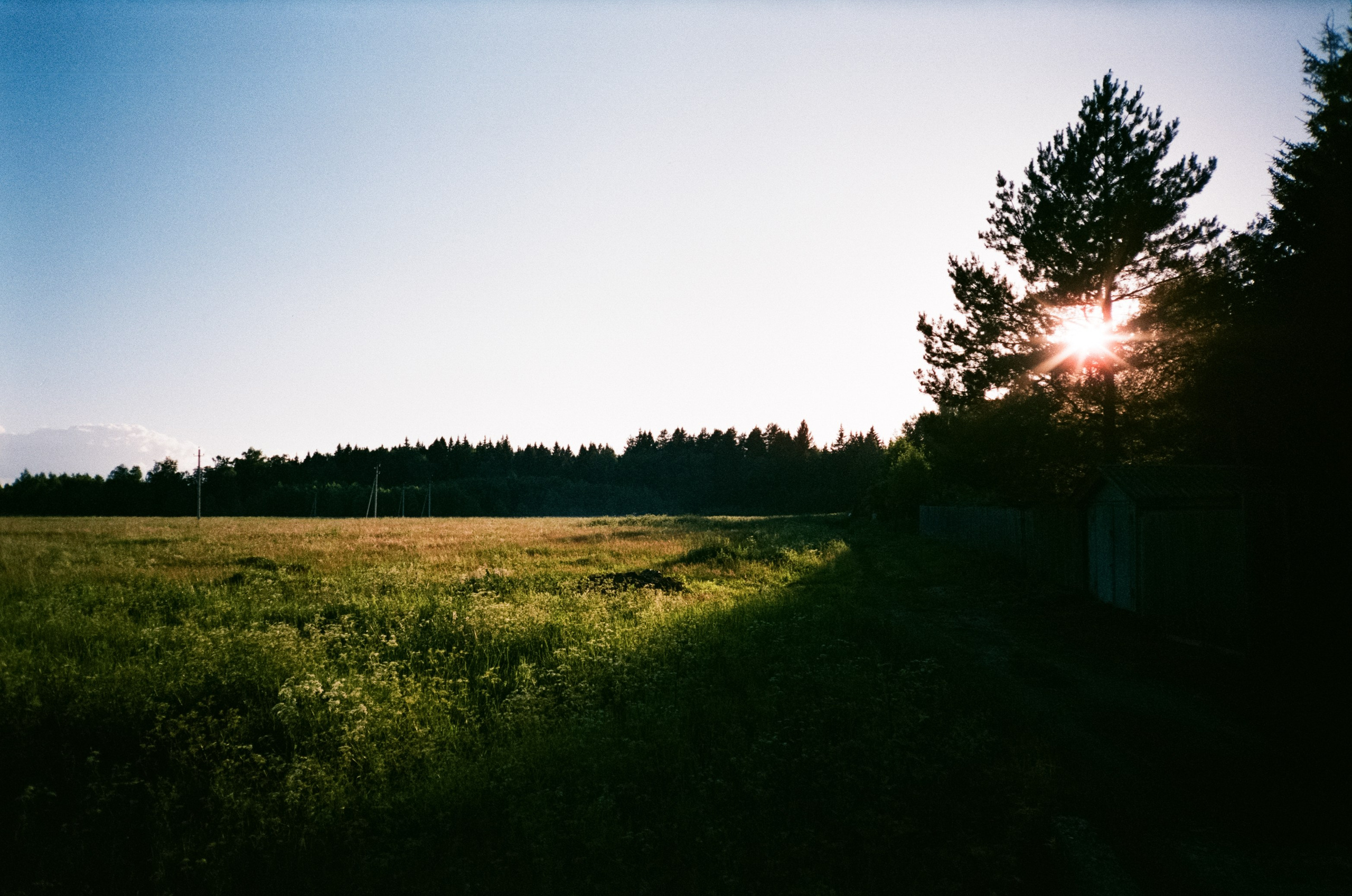 Ricoh MF-1 / Fujifilm X-tra 400 (просрочка) / Закат Строгино, Давыдовс