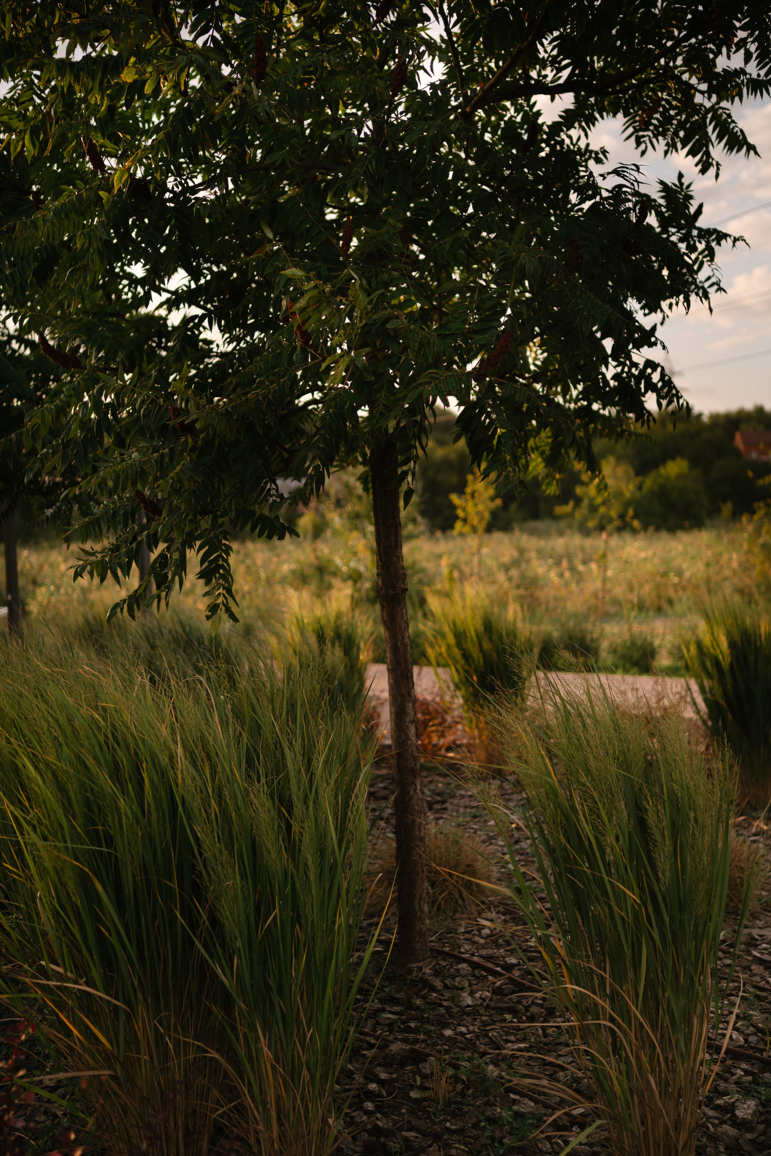 Локации для школьных съемок. Семейный фотограф и видеограф Ростов-на-Дону