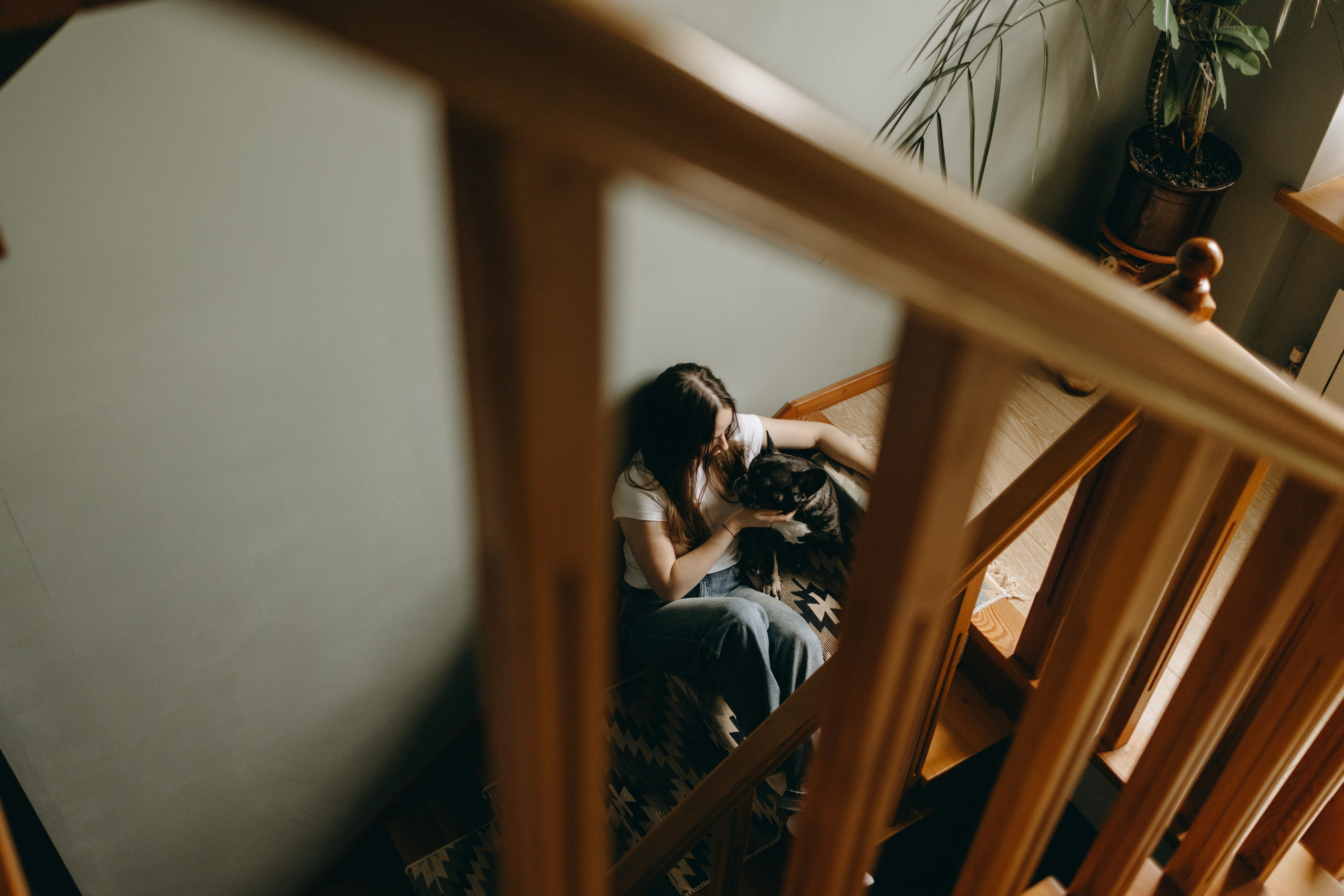 Софа и ее хвостики. Фотограф — Анималист | Санкт-Петербург