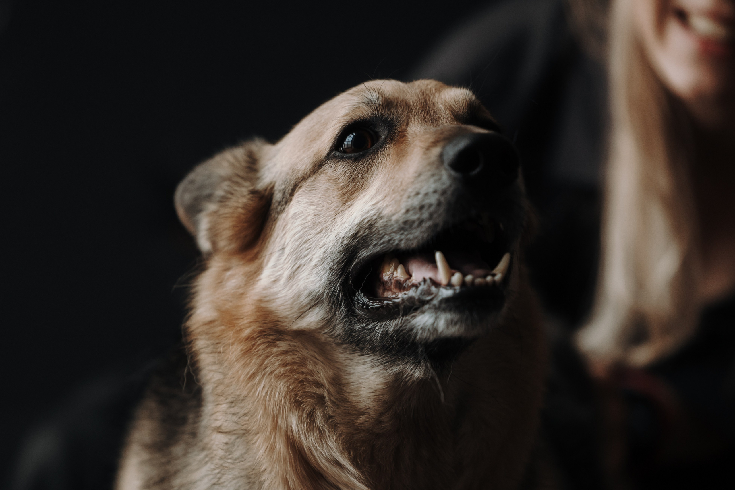 Лена и Дёма. Фотограф — Анималист | Санкт-Петербург