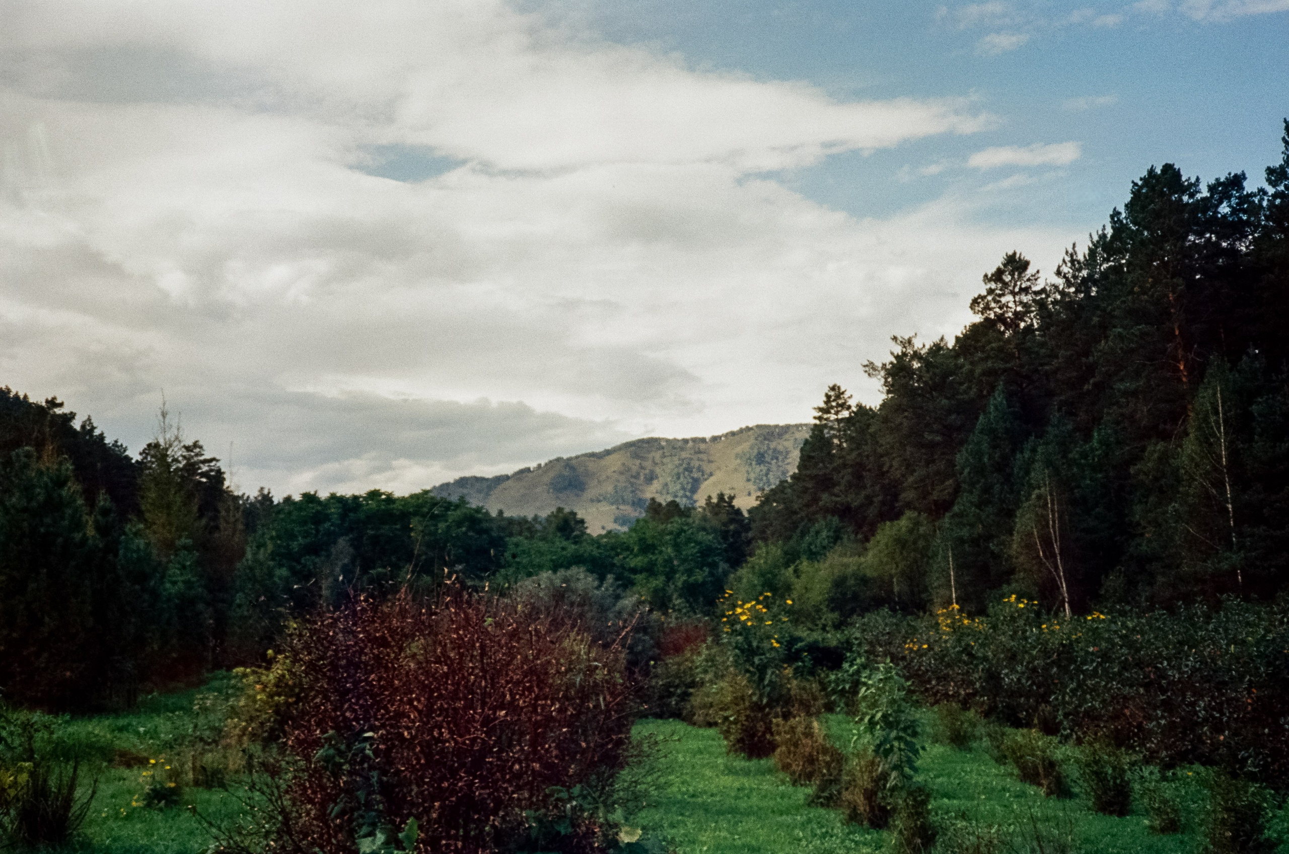 Ботанический сад и река Сема. Фотограф-документалист Мария Осокина