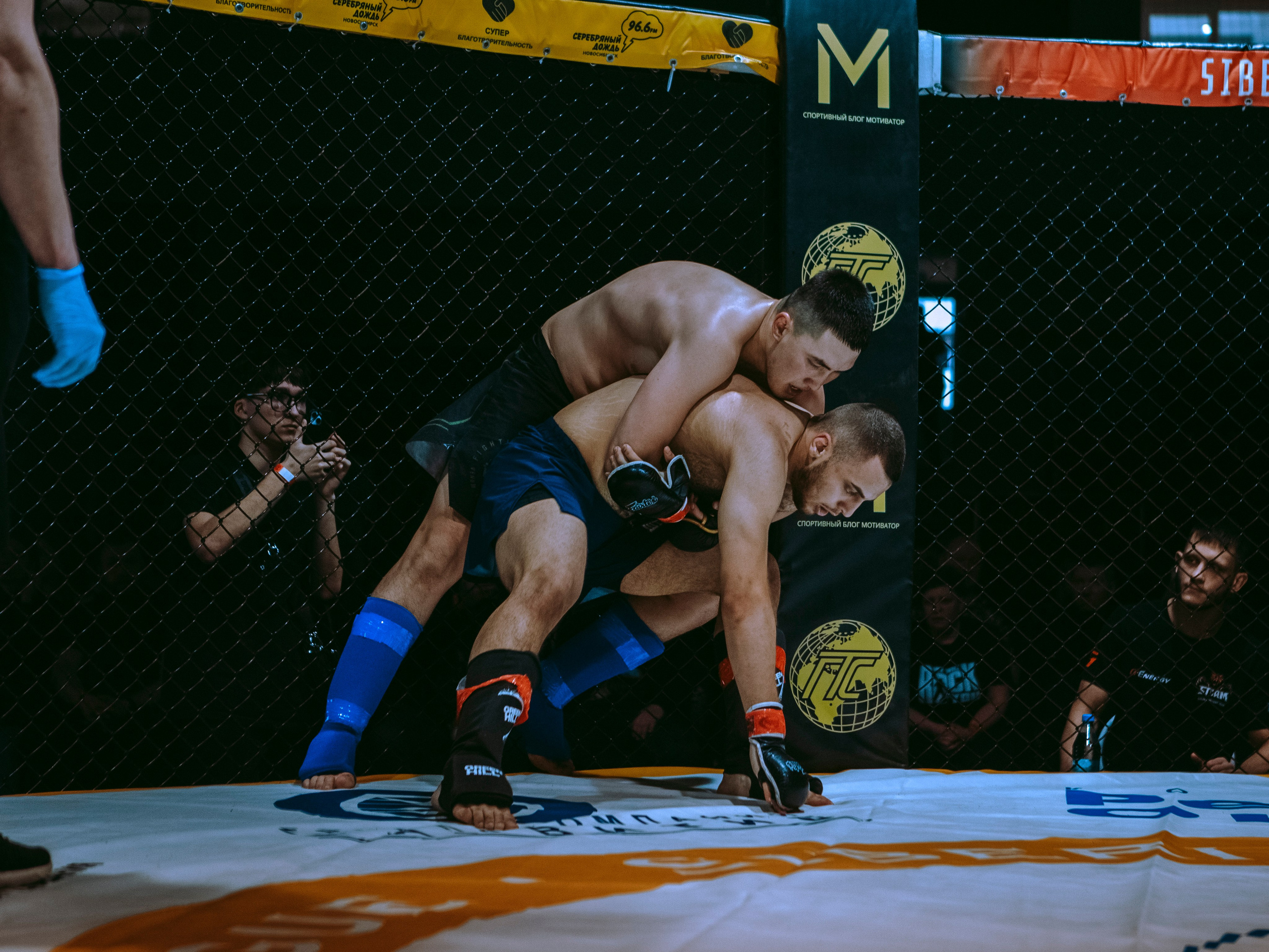 SFL 17 | Siberian Fighting League. Портретный фотограф в Москве Дарья Цезария