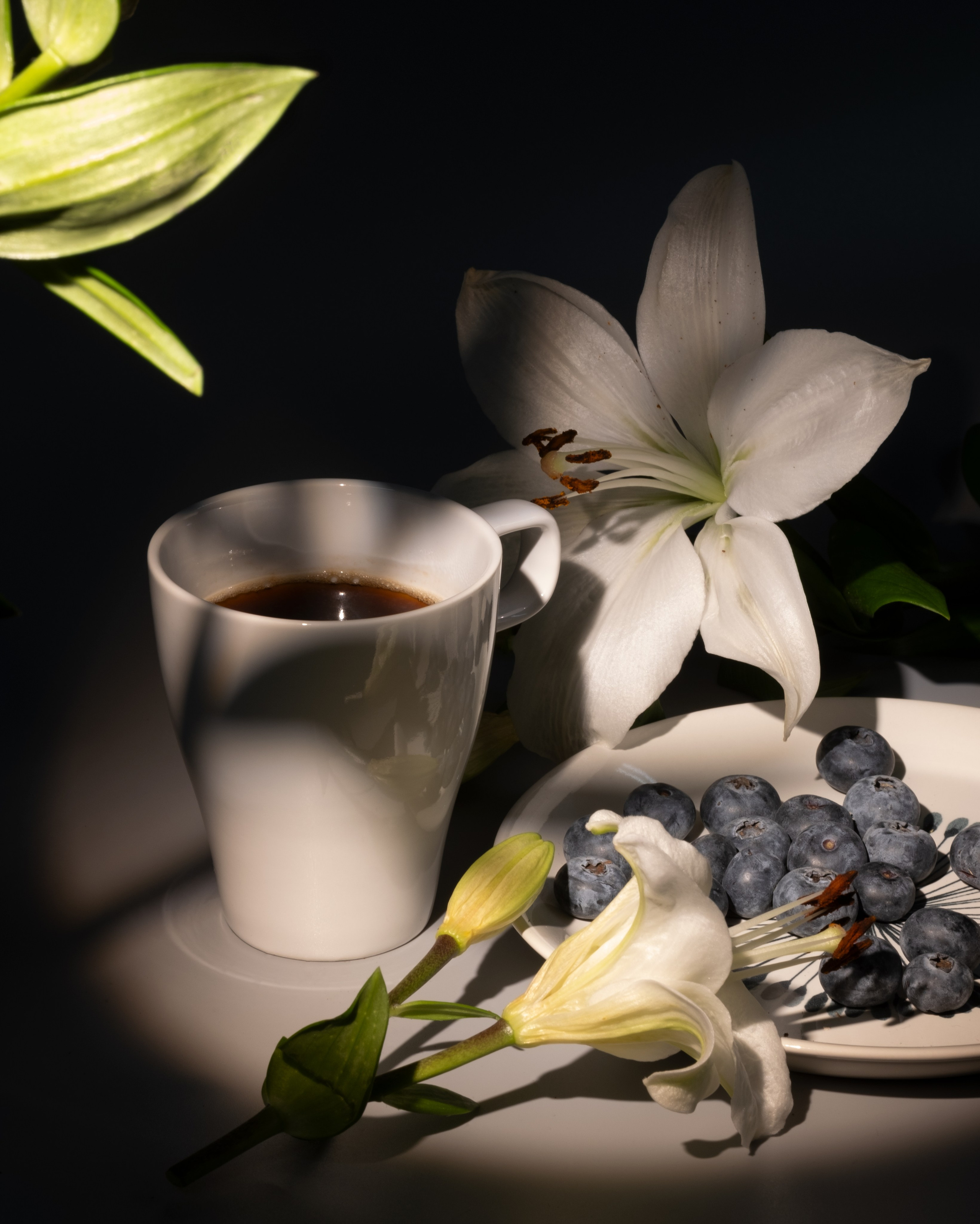 Черника. Фотограф Коробова Екатерина