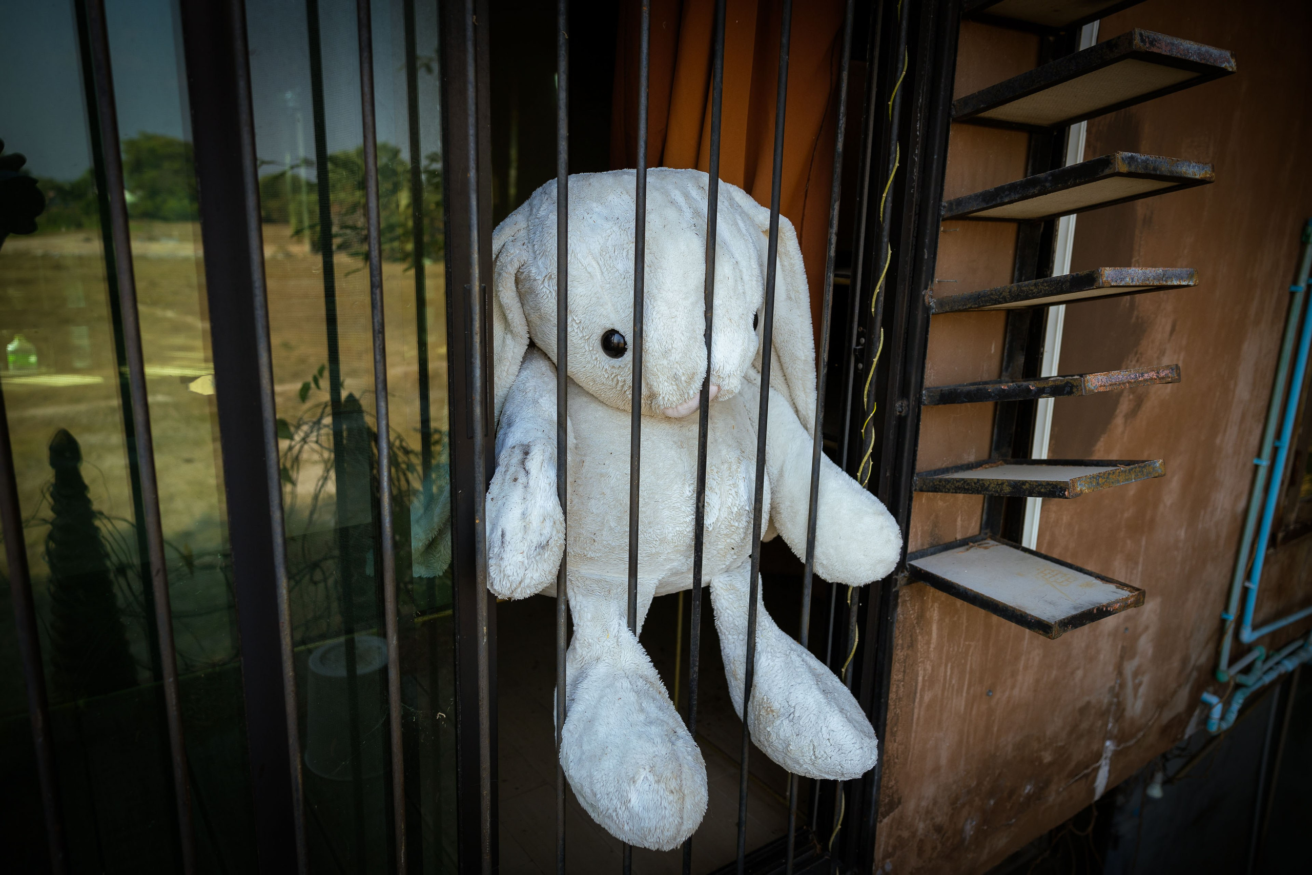 Таиланд (зима 2025). Фотограф Виноградов Константин