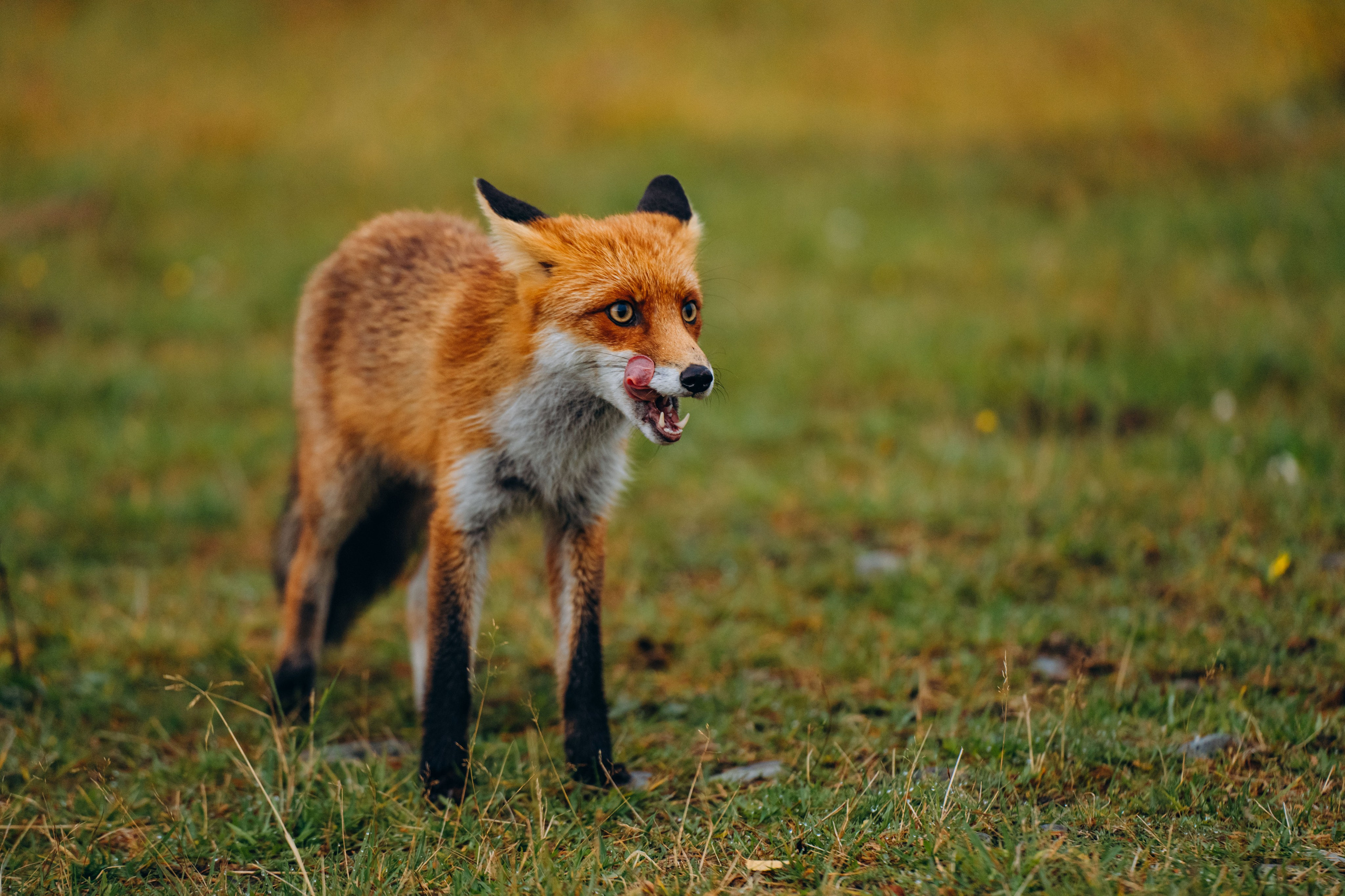 СЕВЕР. Event фотограф Степанова Александра