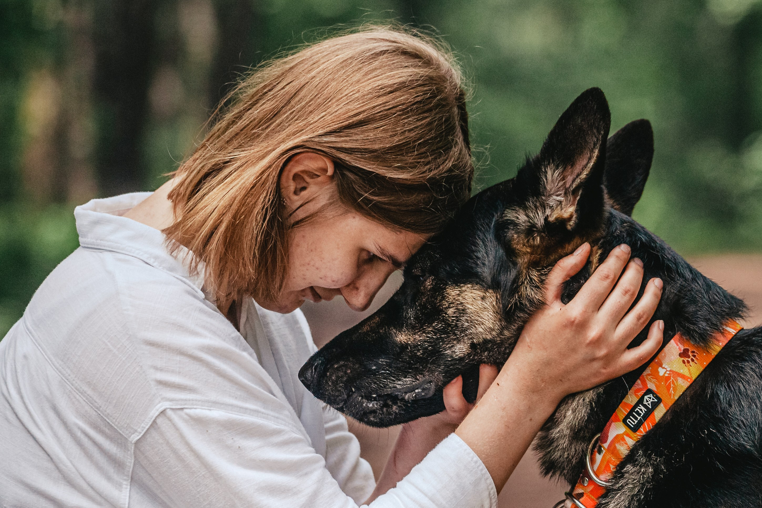 Лесная летняя фотопрогулка. Фотограф-анималист Татьяна Степанова