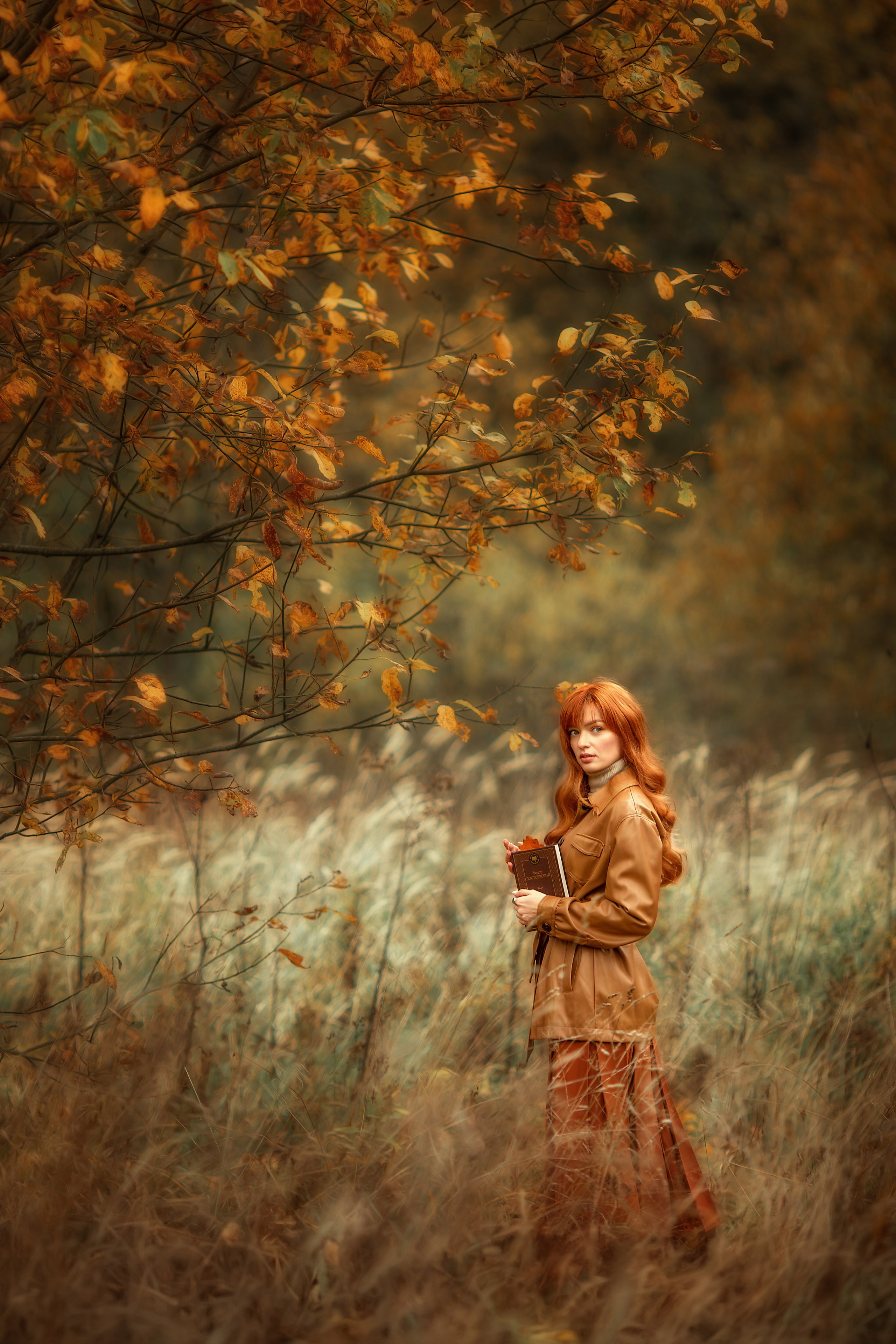 Женский портрет в осеннем поле, девушка с рыжими волосами держит книгу, стоит среди сухой травы под ветвями дерева с золотыми листьями. Тёплый мягкий свет, атмосфера спокойствия и осенней тишины.