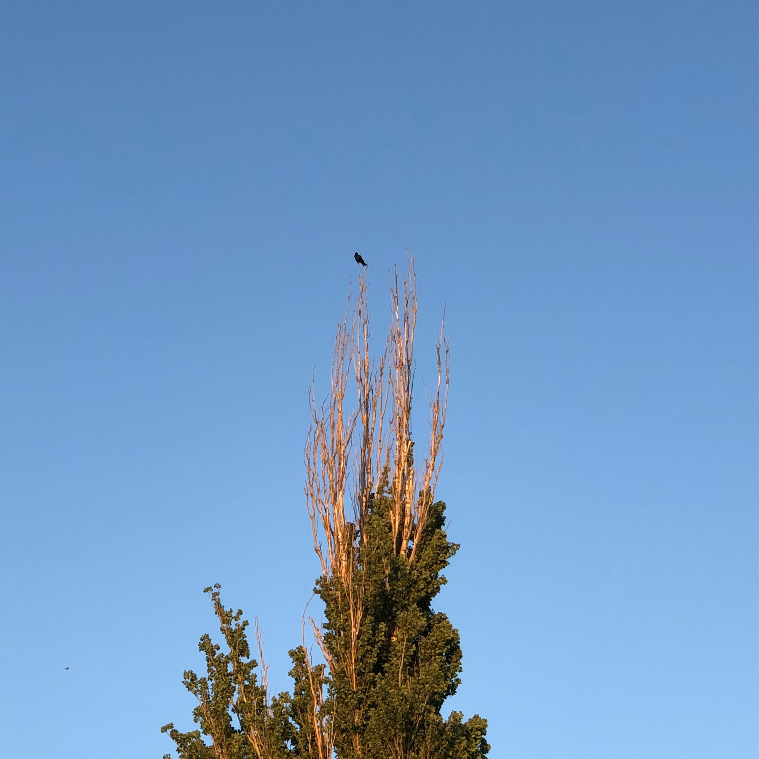 Визуальный дневник. Портретный фотограф в Москве Гахраманова Екатерина