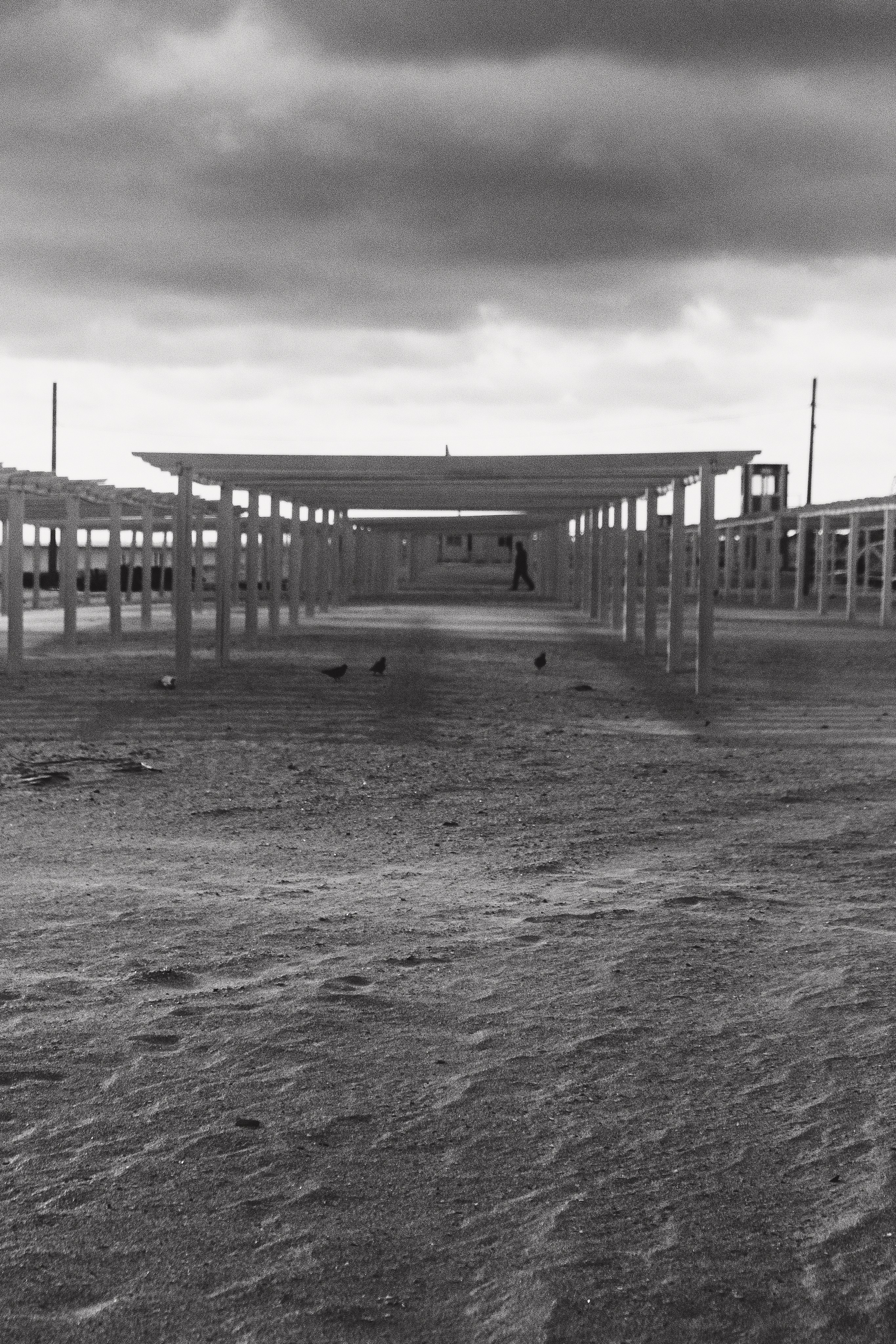 Проекты. Фотограф в Ростове-на-Дону