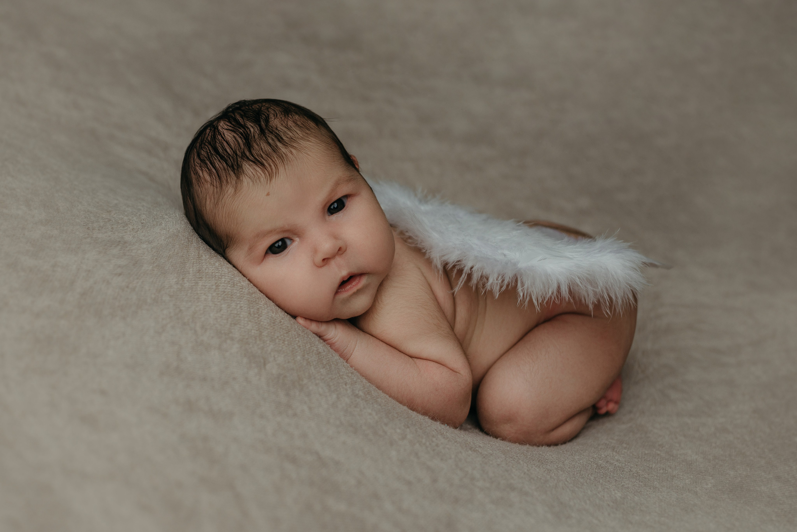 Ева. Фотограф новорожденных Белгород