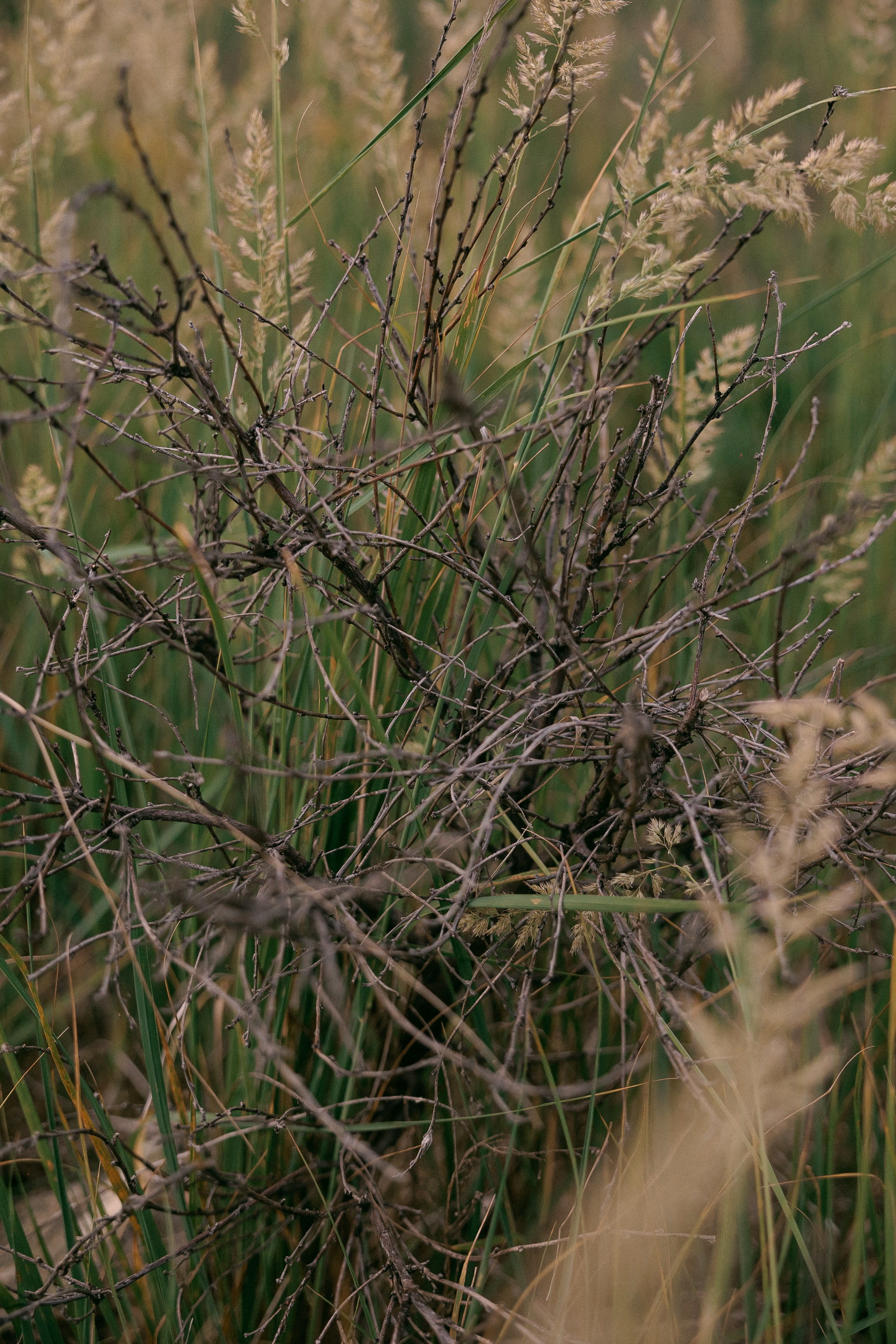 Бренд одежды ENSO. Репортажный фотограф Макс Брагин