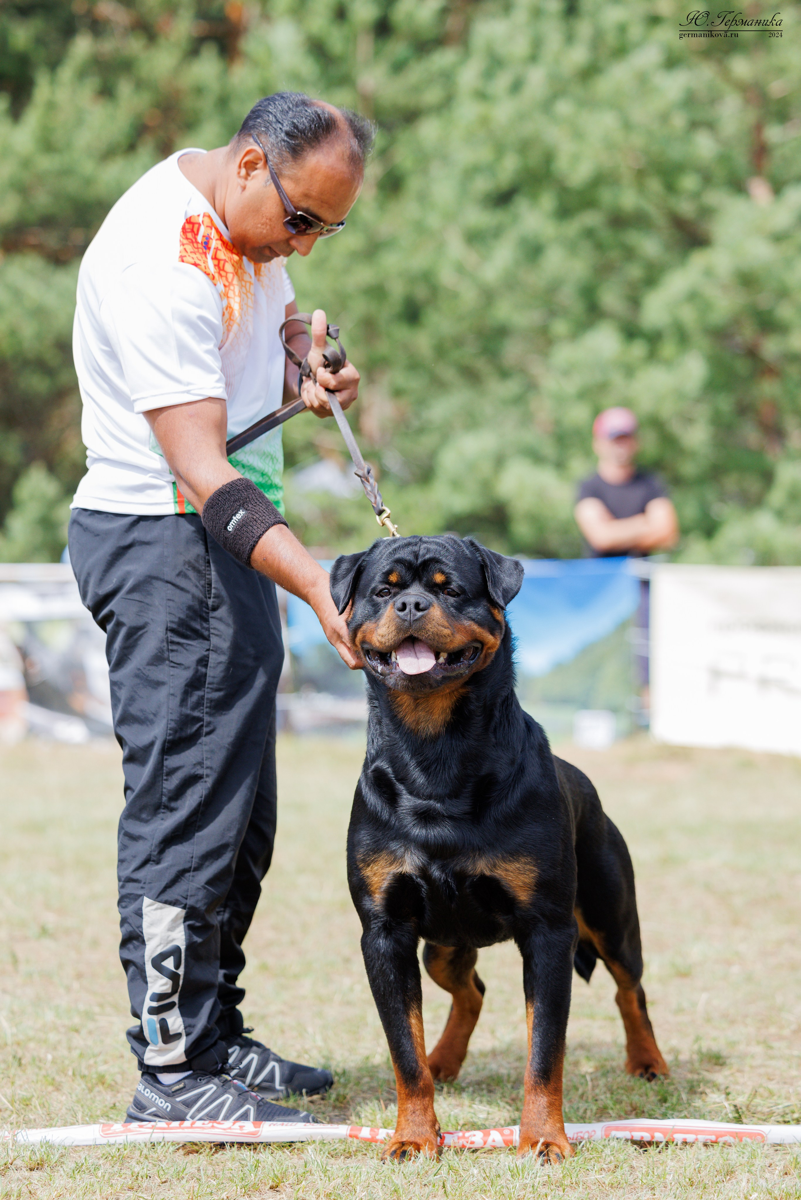 ПК и КЧК ротвейлеры Тверь 6-7.07.2024. Фотограф-анималист Юлия Германика