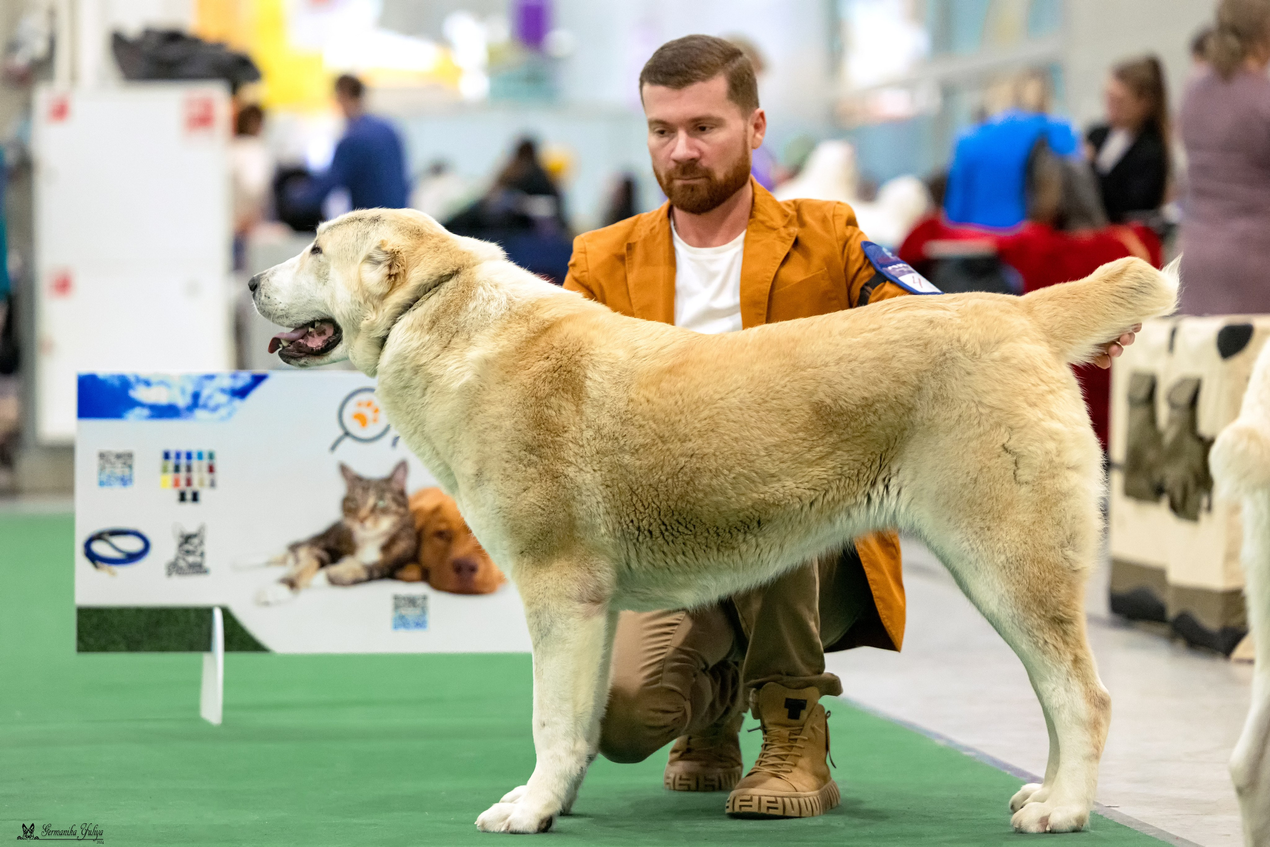 Сабанеевка 26-27.01.2024. Фотограф-анималист Юлия Германика