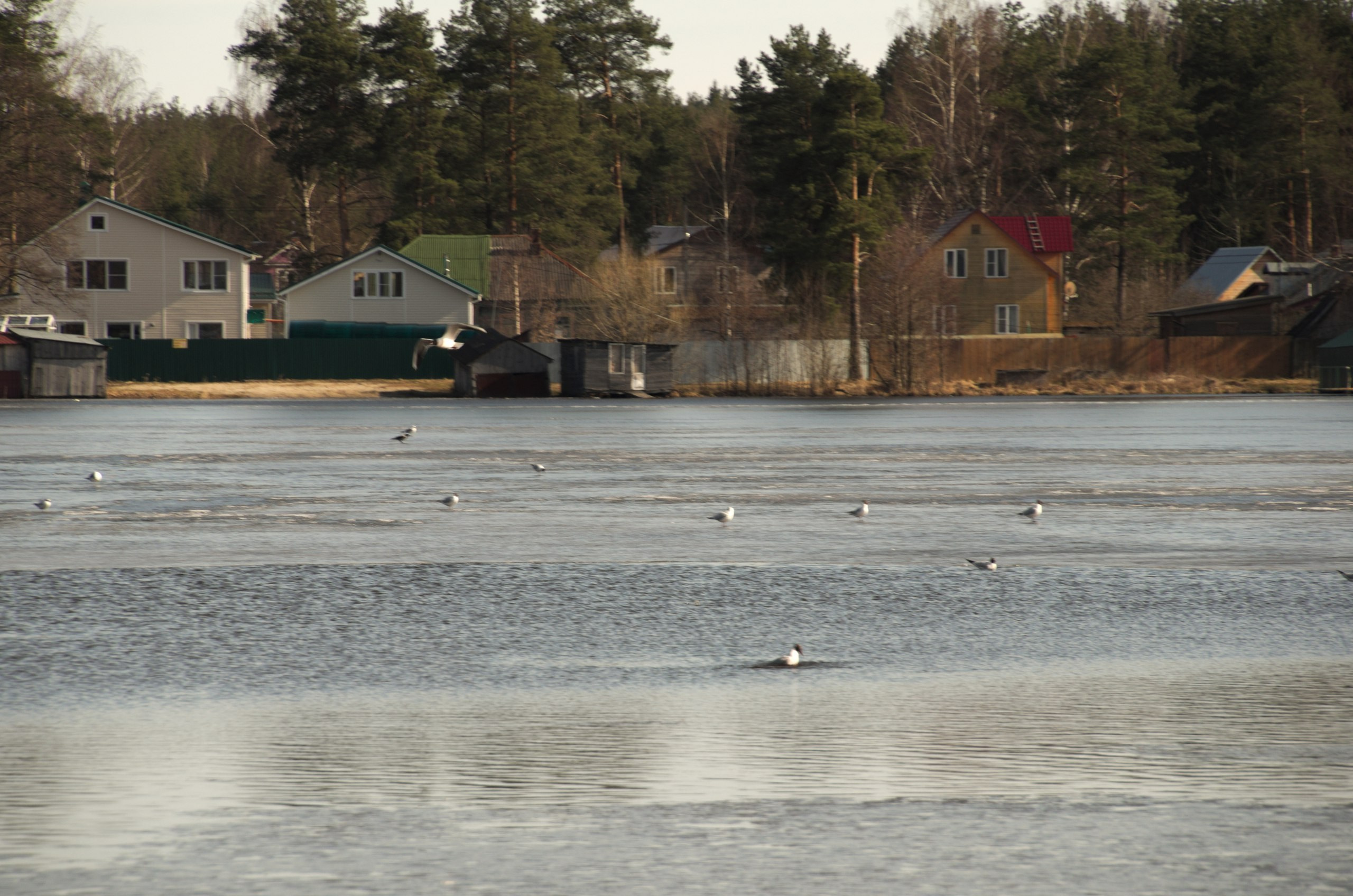 Покров | 09.04.2017. Галерея Фантим