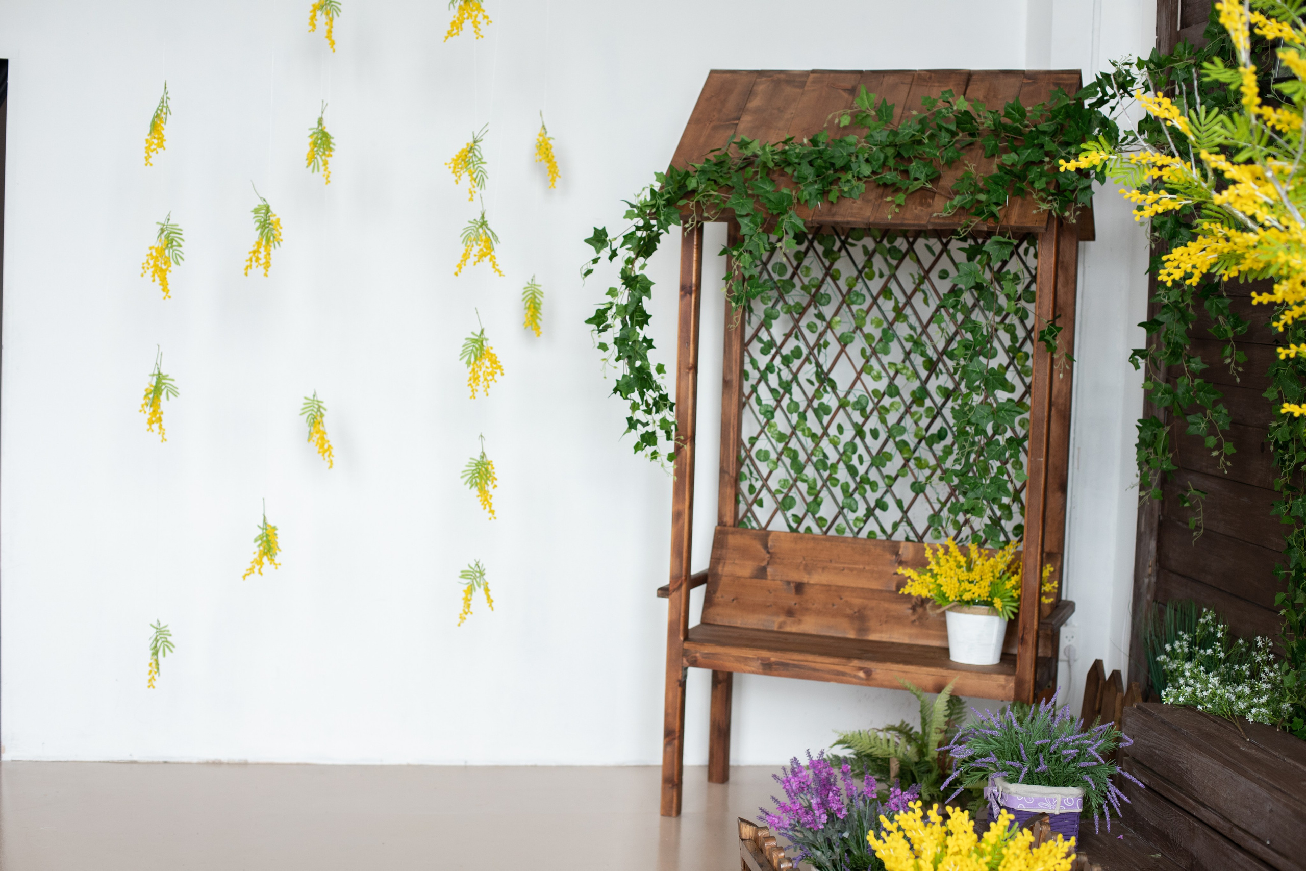 Буфет (студия Зеркало). Фотограф г. Хабаровск. Семейные и индивидуальные съёмки