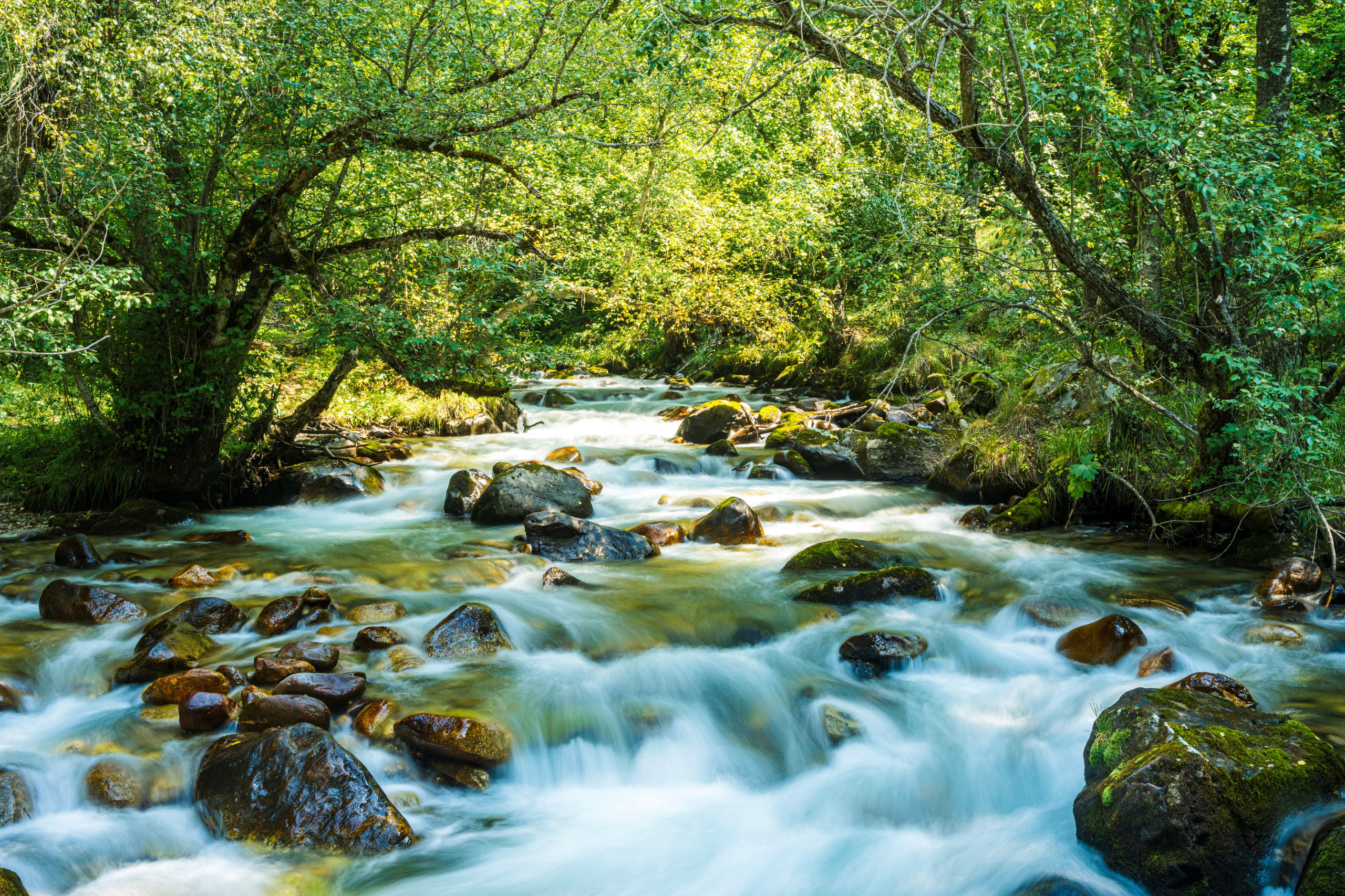 Экспедиция 2024