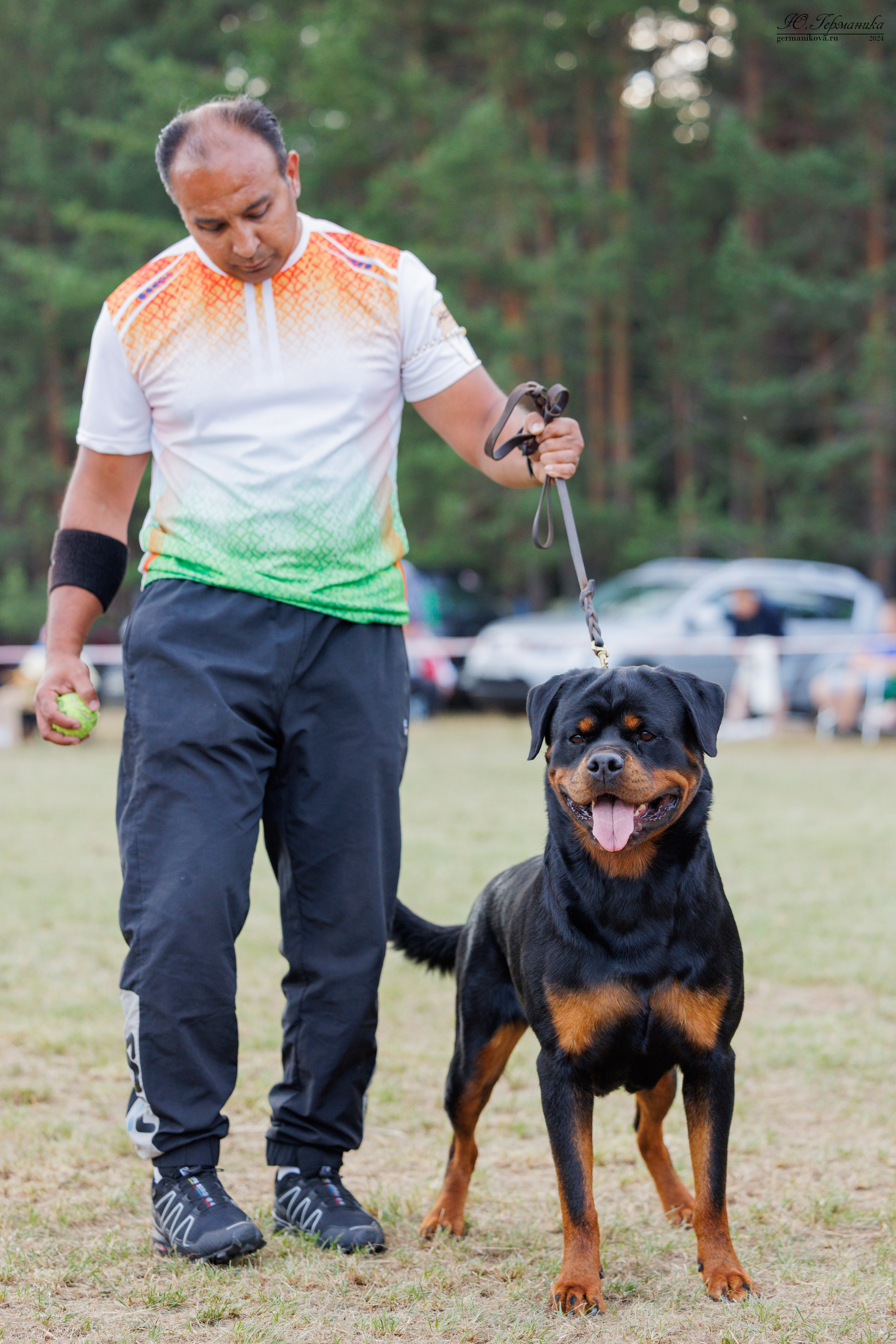 ПК и КЧК ротвейлеры Тверь 6-7.07.2024. Фотограф-анималист Юлия Германика