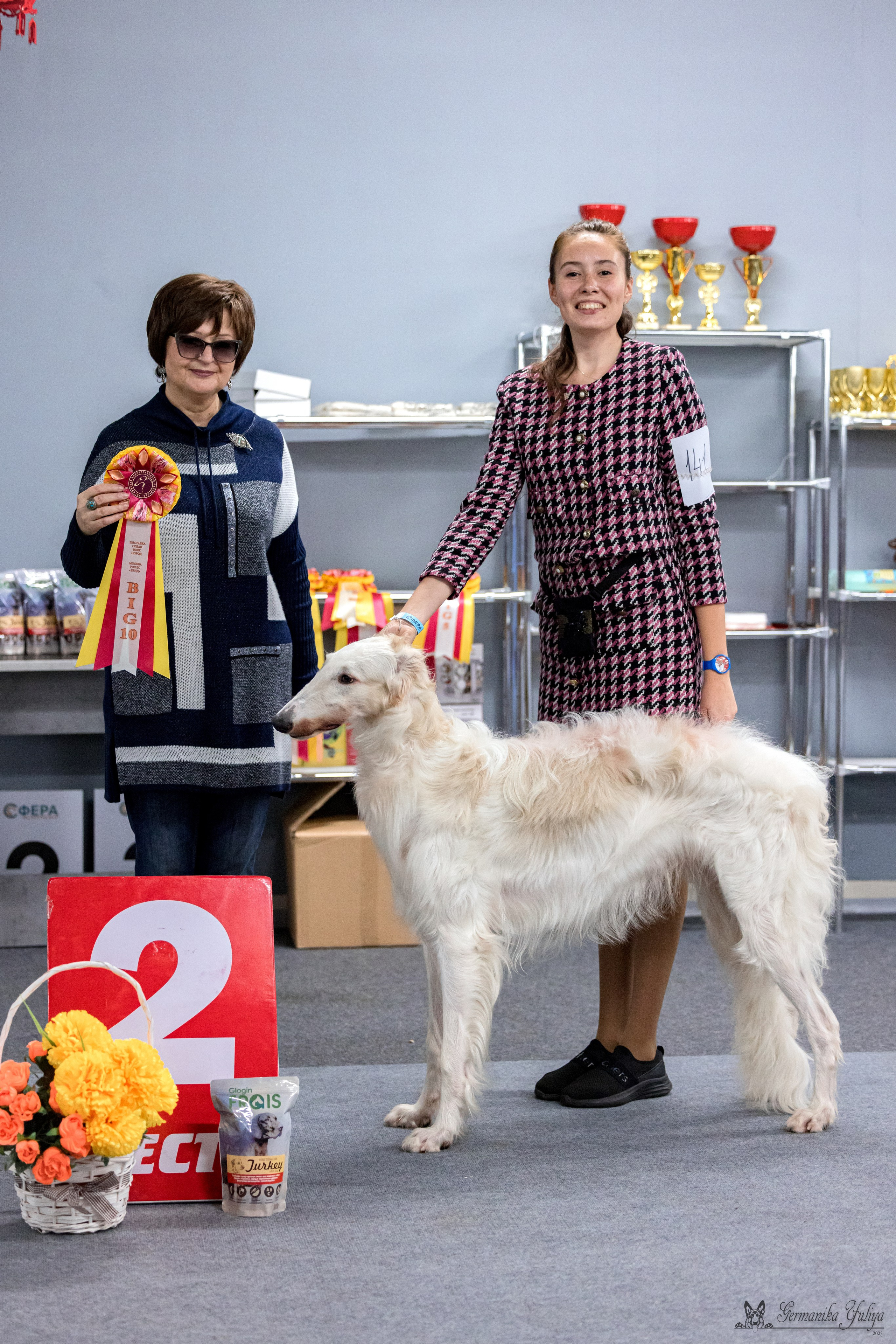 Сфера 29.10,Крокус 4.11,Сфера 12.11.2023. Фотограф-анималист Юлия Германика