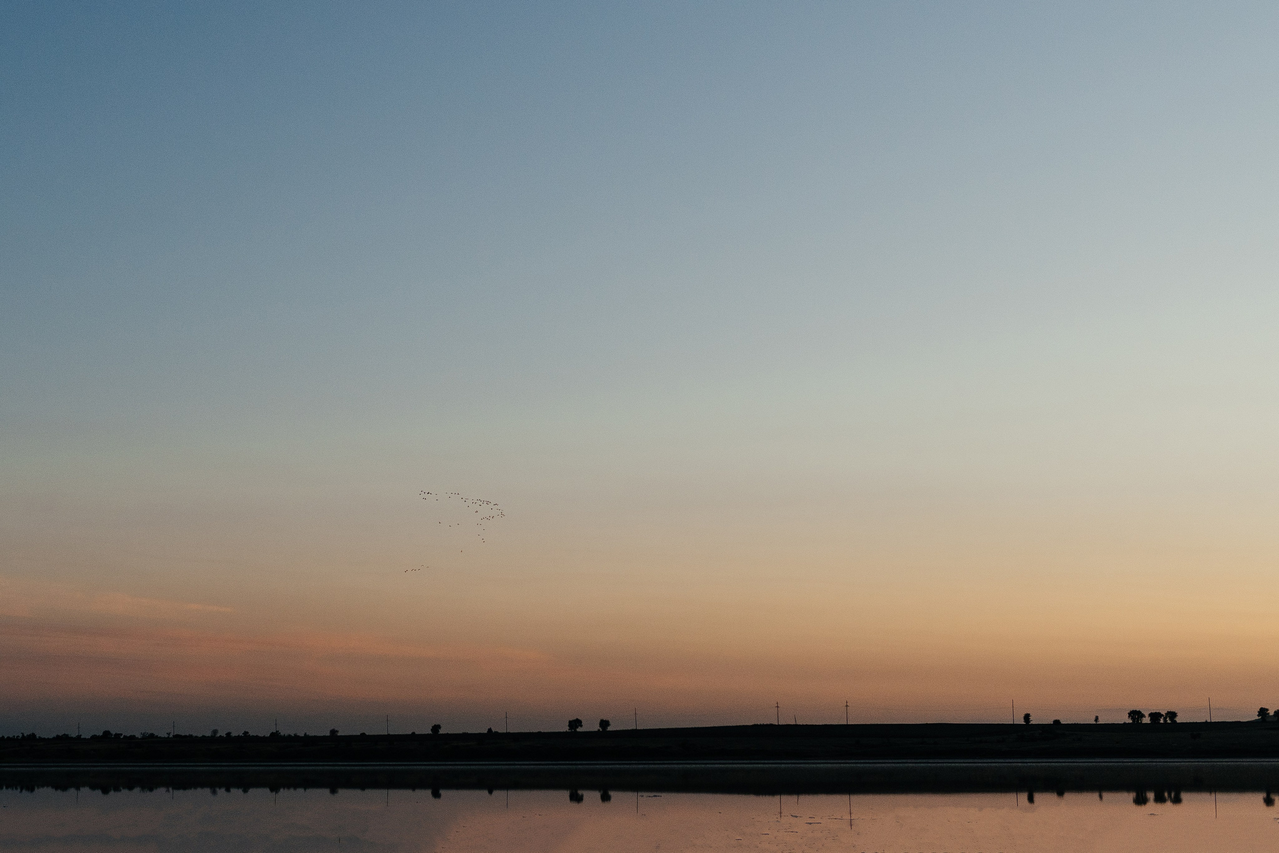 Соня И Антон. Фотограф Ирина Романова