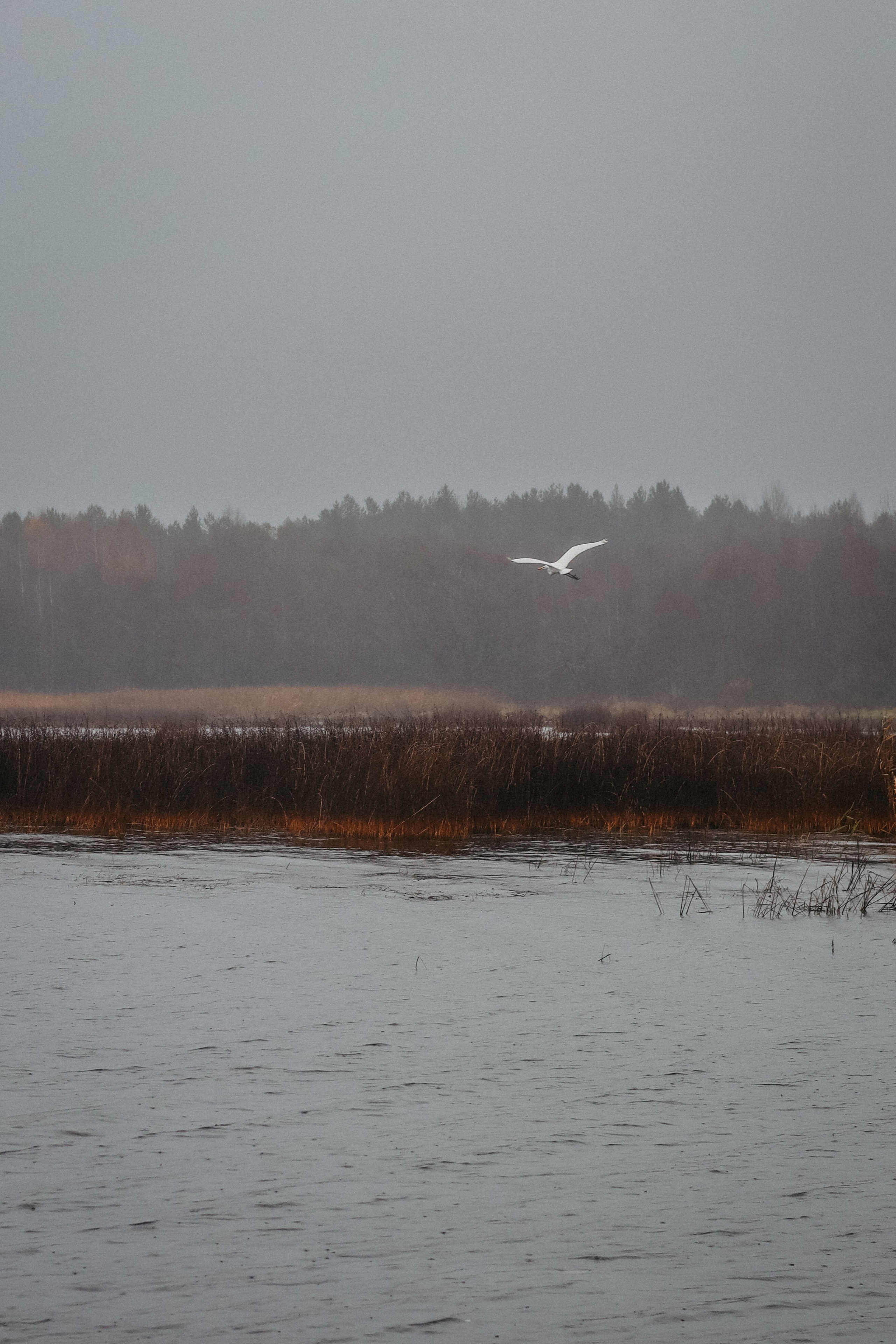 Природа. Фотокружок «Видоискатель» ГБОУ СОШ № 291