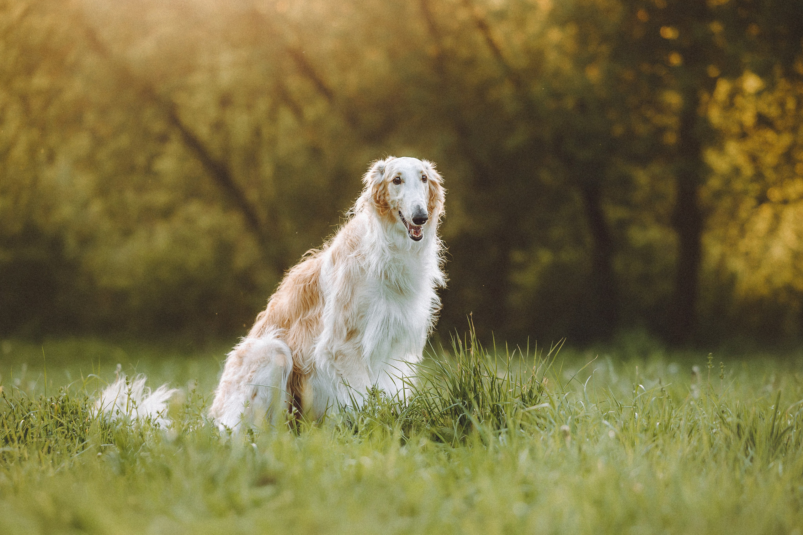 Илай, Зайка и их семья