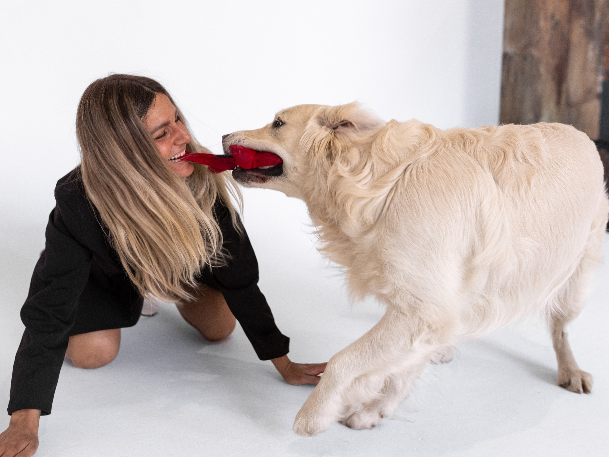 Энди и Настя. Фотограф-анималист в Москве Кириллова Татьяна