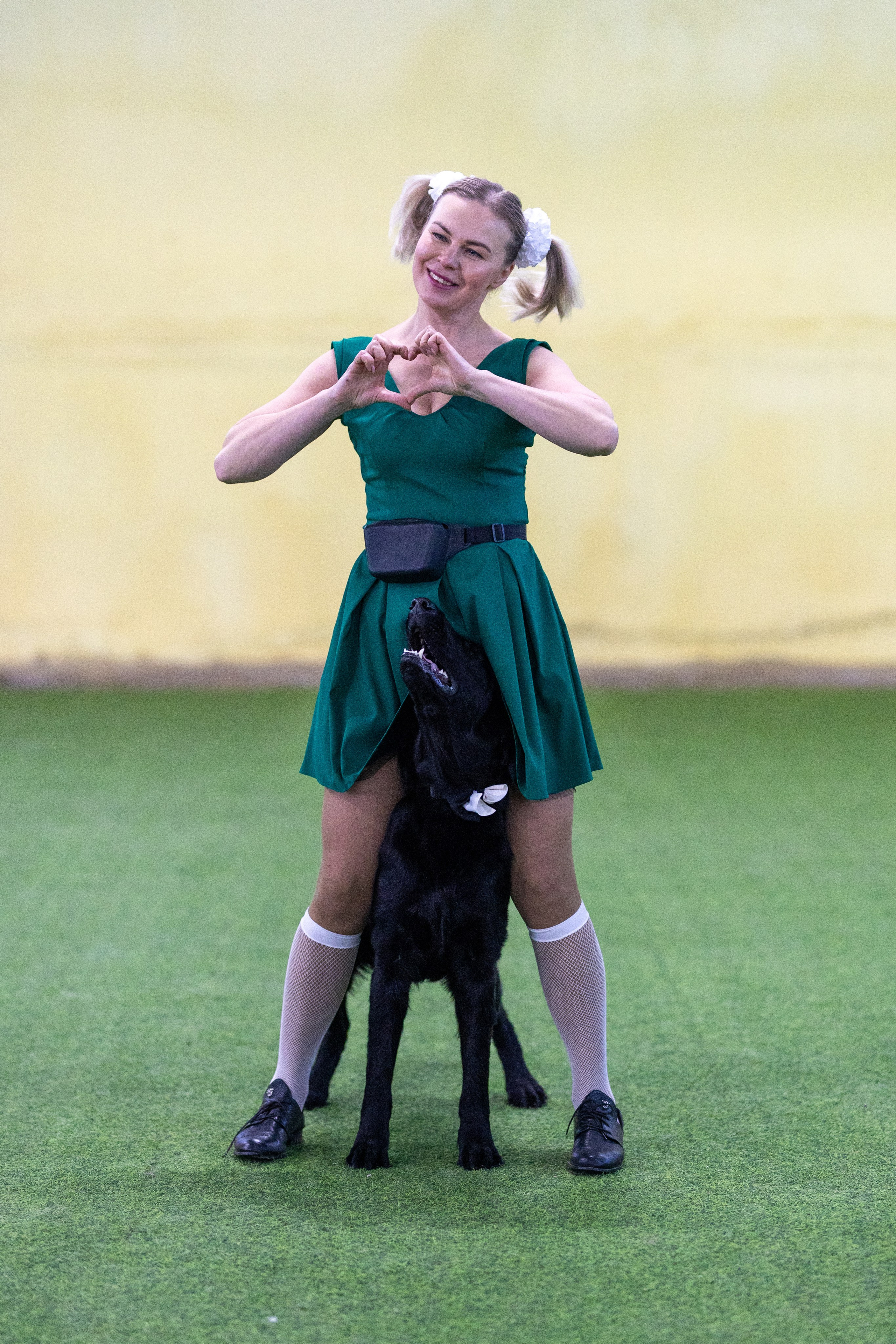 Соревнования танцы. Фотограф-анималист в Москве Кириллова Татьяна