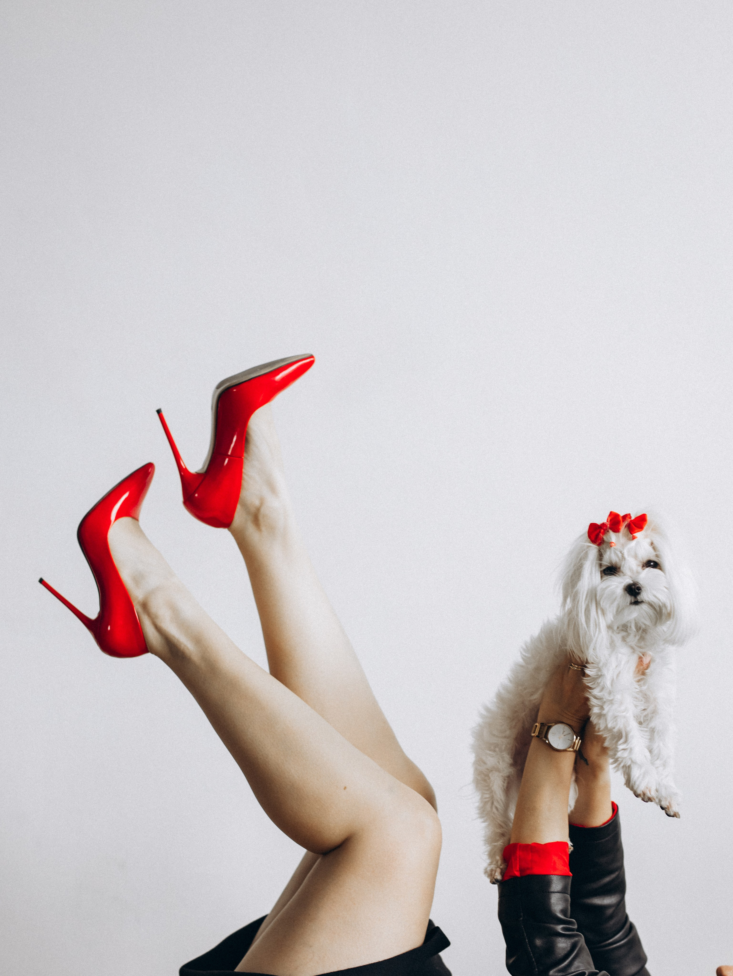 Мира и Таня. Фотограф-анималист в Москве Кириллова Татьяна