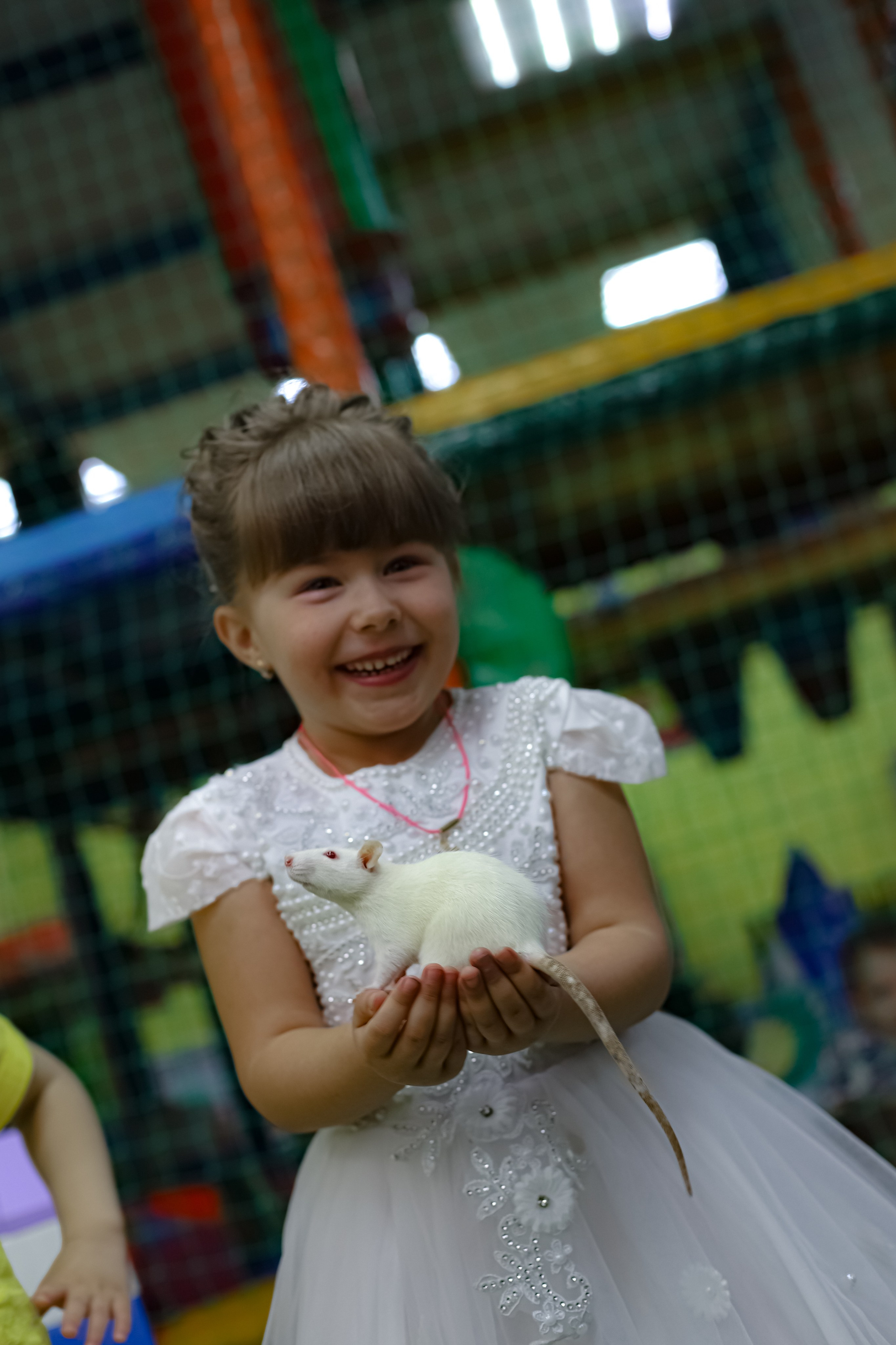 POLINA 5 YEARS. Photokarish