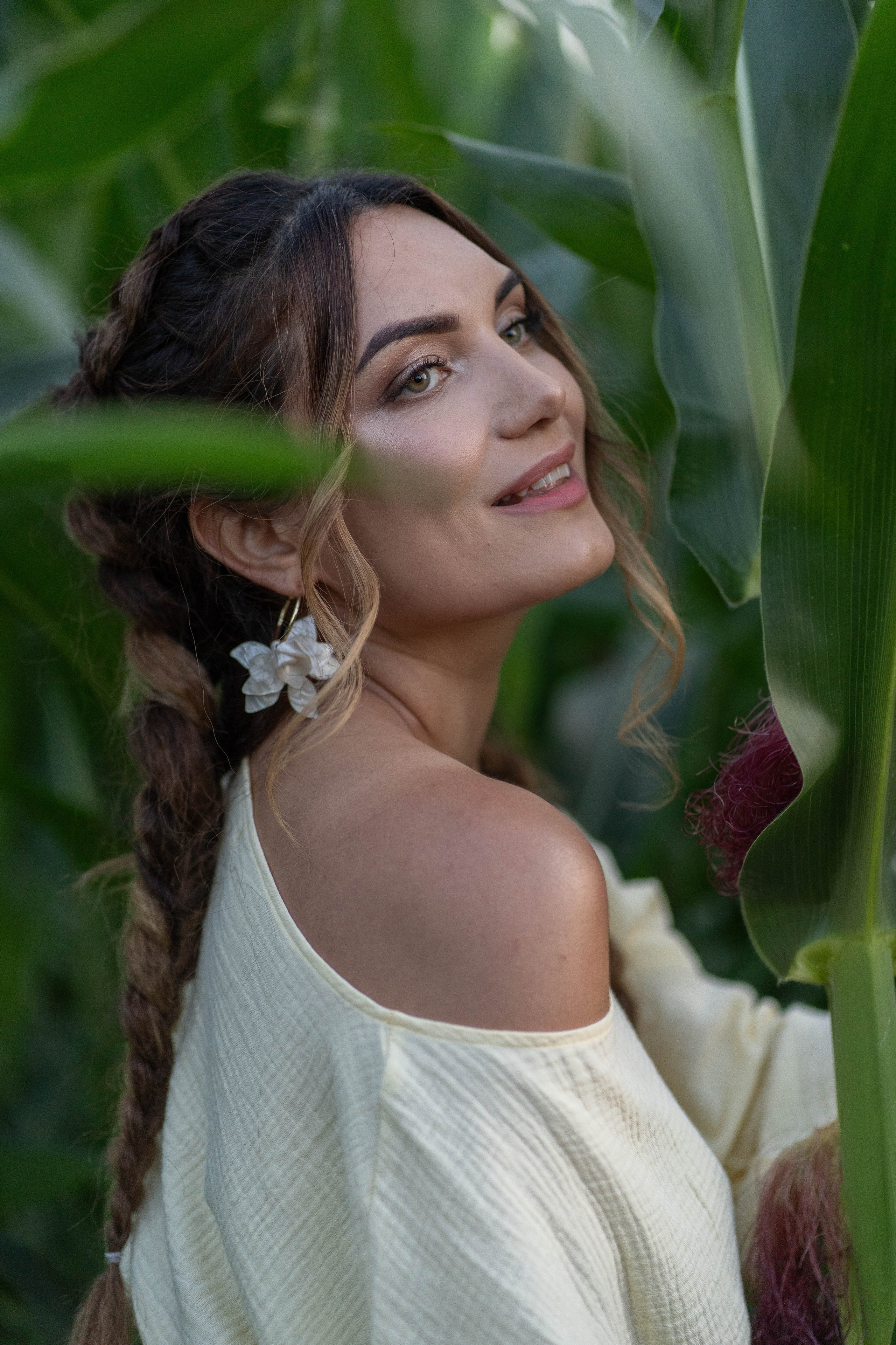 Кукурузное поле. Главная