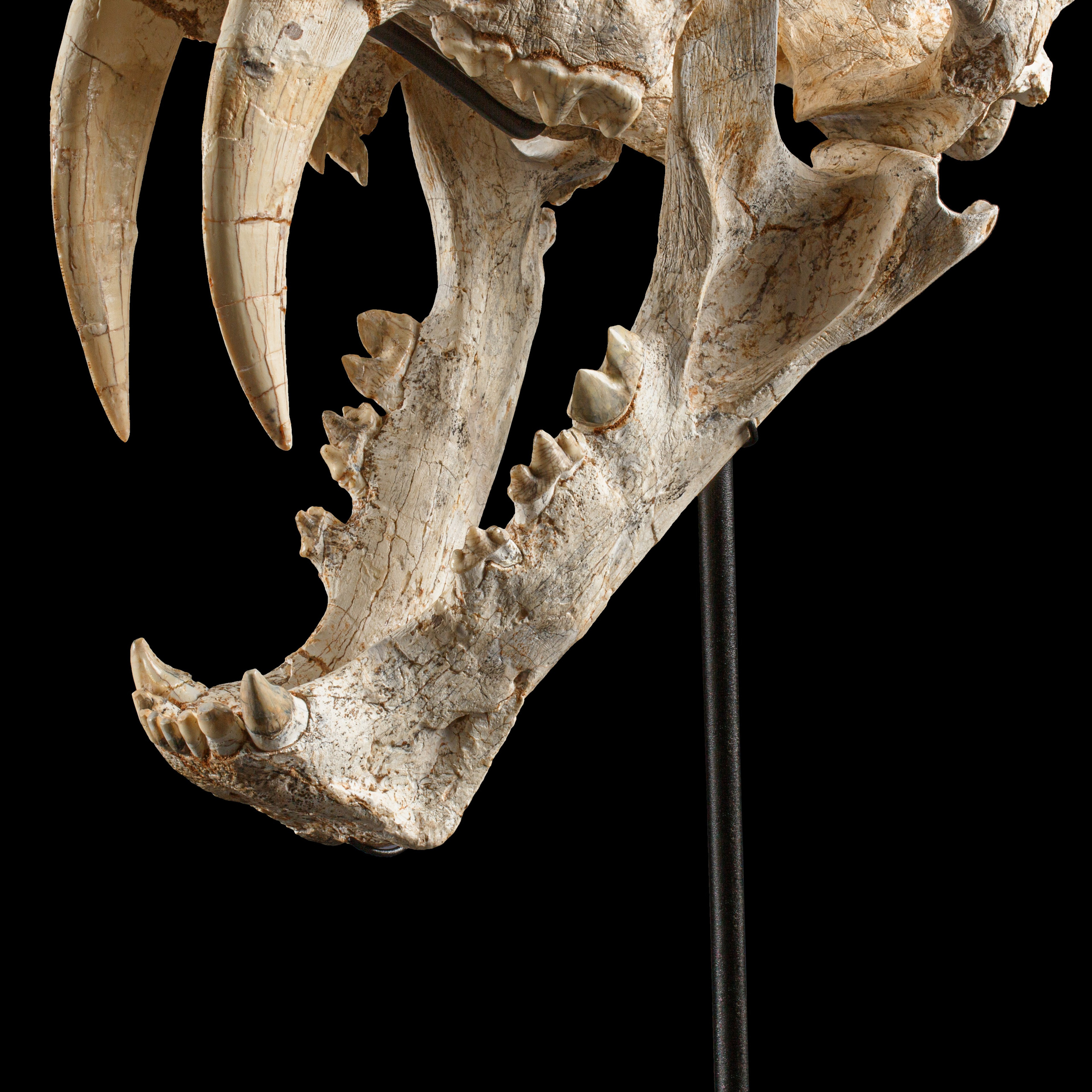 Каталог различных видов профессиональной обработки фотографий | Студия SVITHART