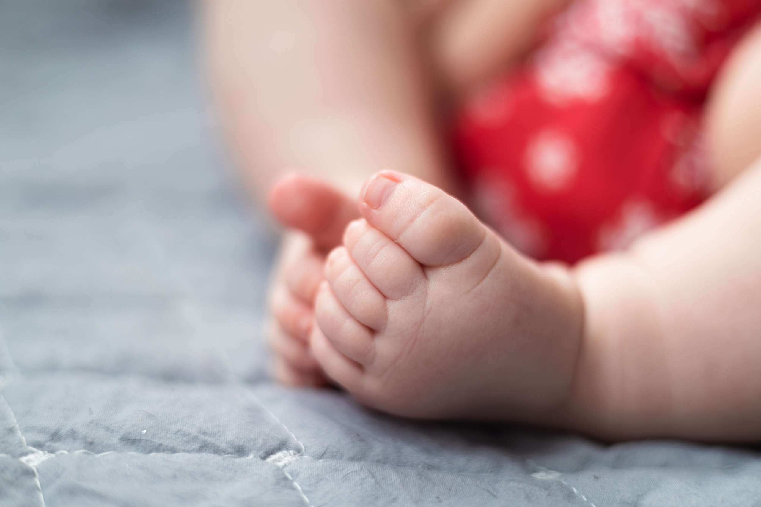 Милана. Детский и семейный фотограф Евгения Вахнеева Москва Зеленоград