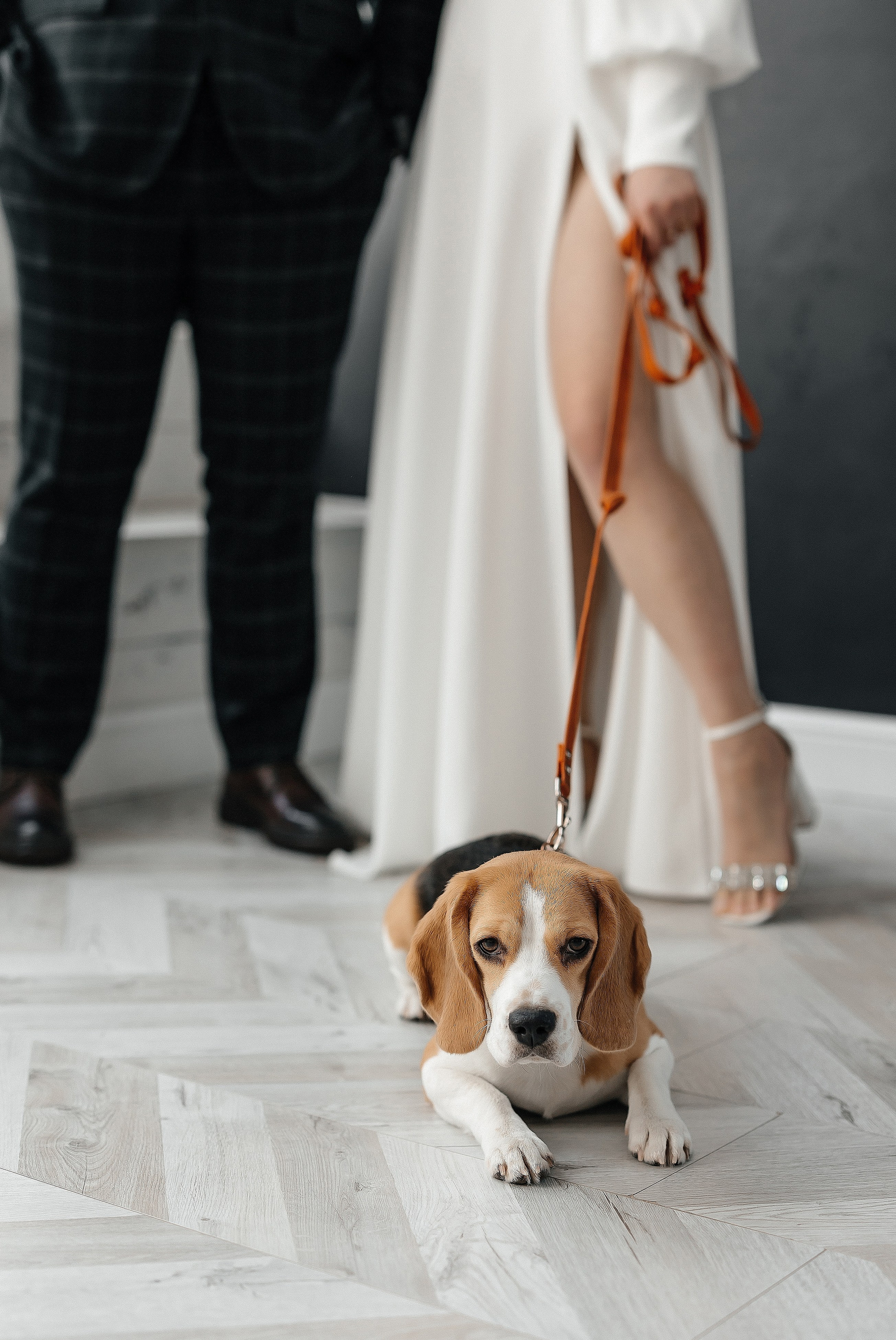 Марина & Максим | 13.01.24. Свадебный и семейный фотограф в Омске Евгения Хакимова