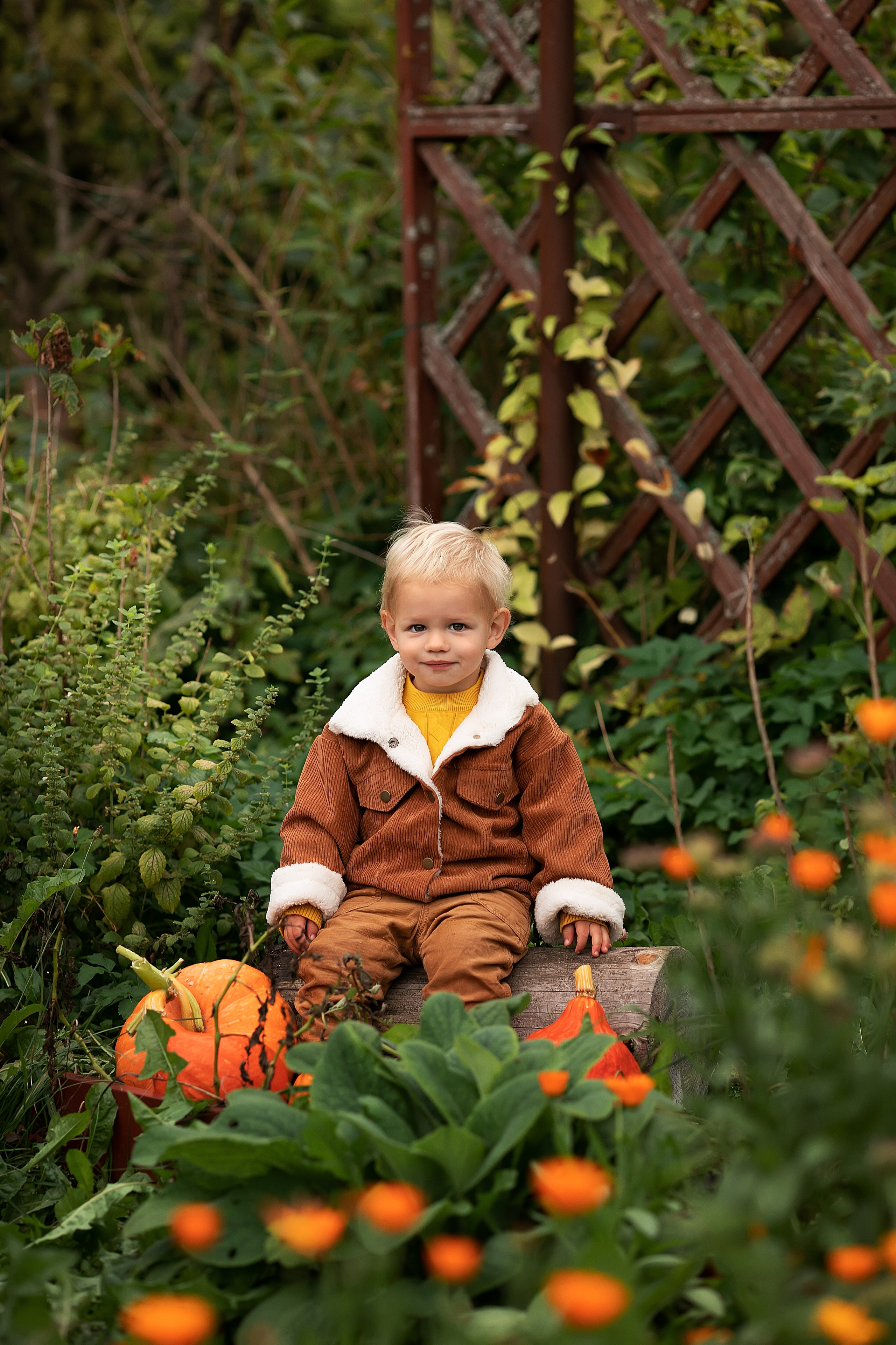 Сказочная осень. Главная